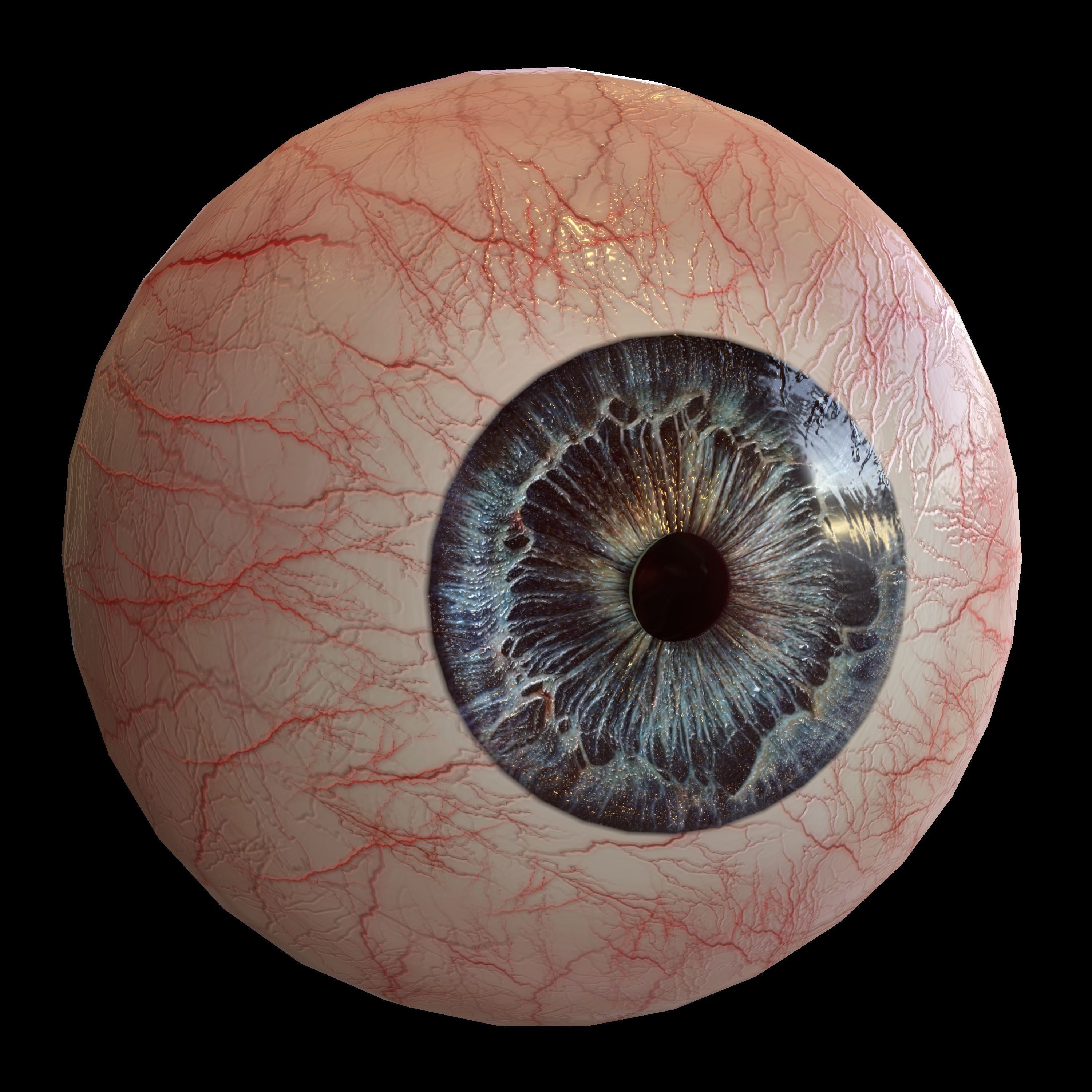 Human eye Photorealistic Low-poly 3D model Low-poly 3D model_1
