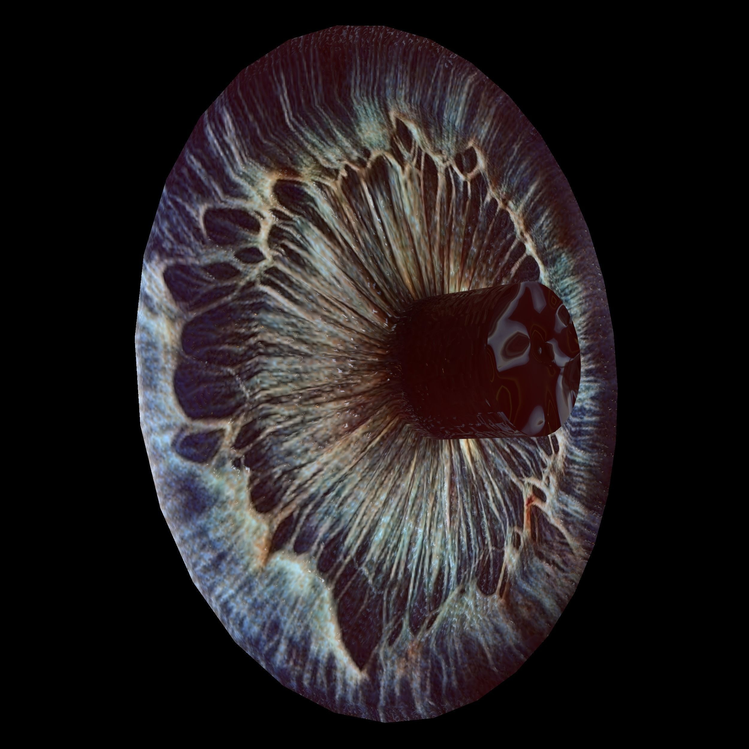 Human eye Photorealistic Low-poly 3D model Low-poly 3D model_19