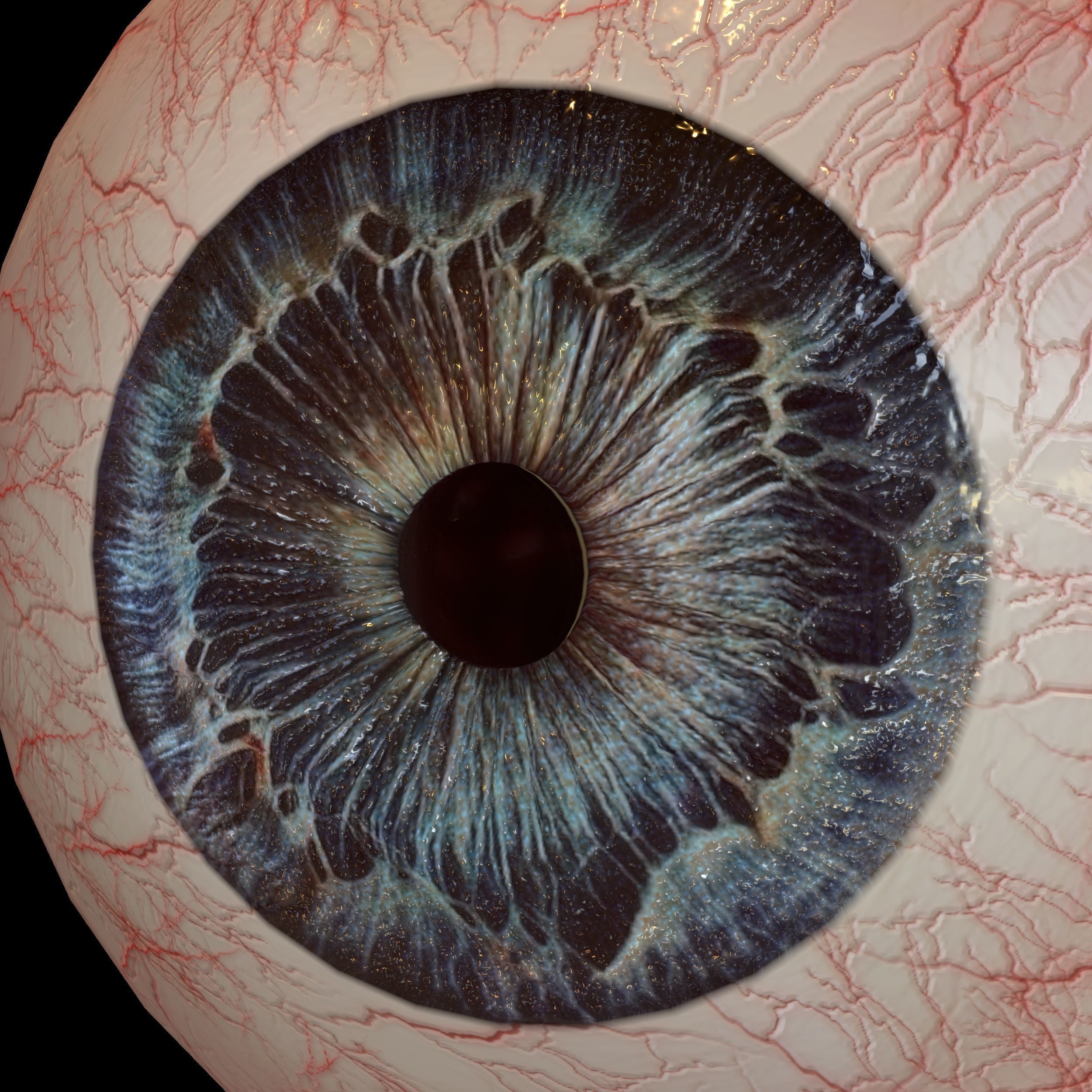 Human eye Photorealistic Low-poly 3D model Low-poly 3D model_3