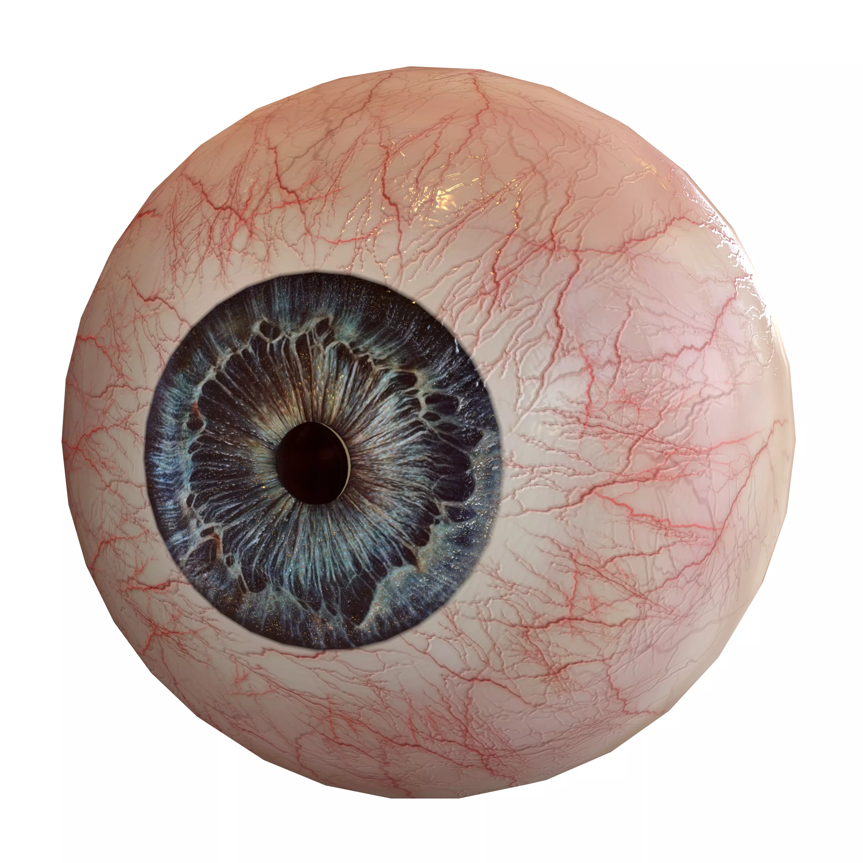 Human eye Photorealistic Low-poly 3D model Low-poly 3D model_0