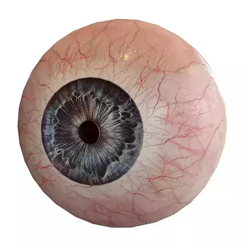 Human eye Photorealistic Low-poly 3D model Low-poly 3D model