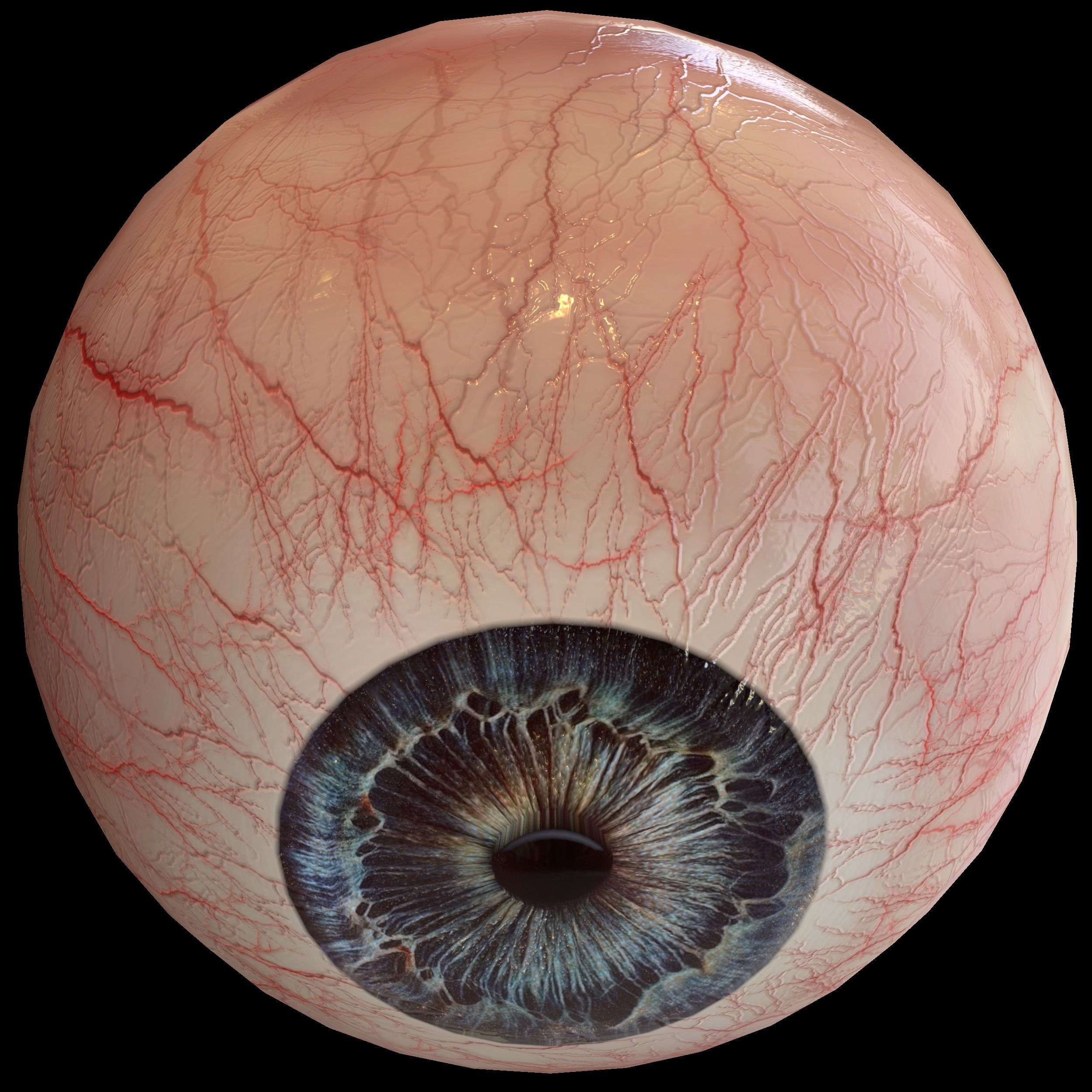 Human eye Photorealistic Low-poly 3D model Low-poly 3D model_10