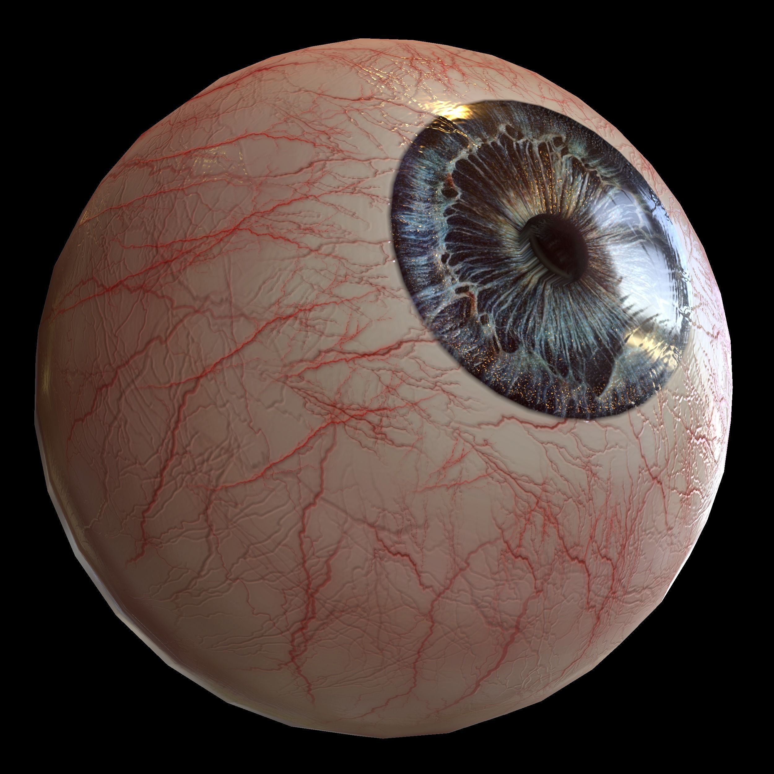 Human eye Photorealistic Low-poly 3D model Low-poly 3D model_7