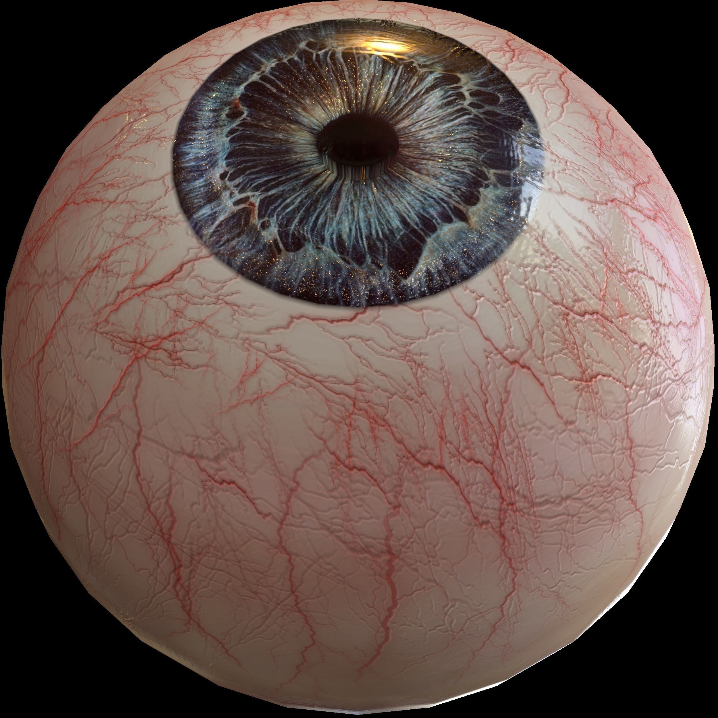 Human eye Photorealistic Low-poly 3D model Low-poly 3D model_11