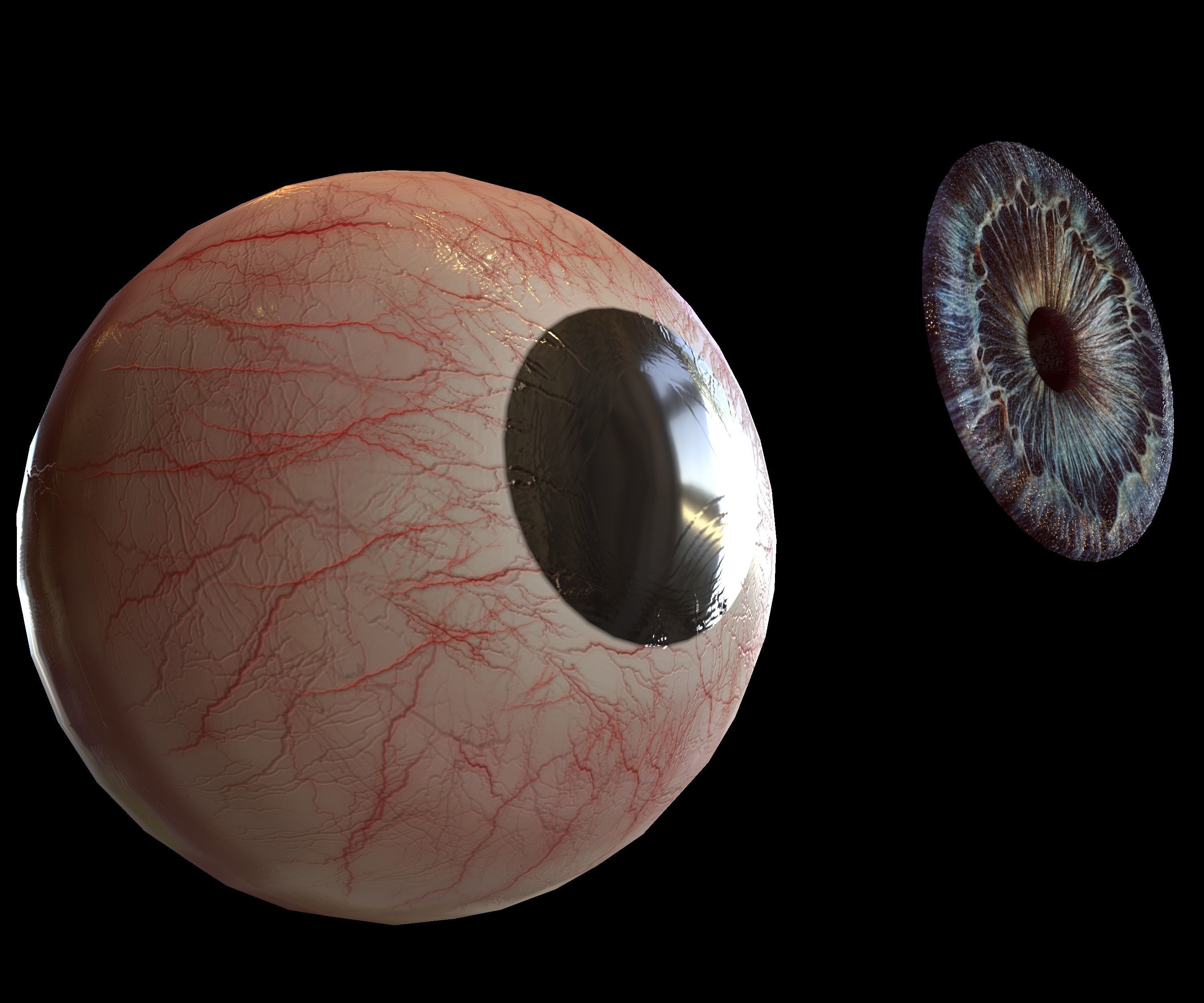 Human eye Photorealistic Low-poly 3D model Low-poly 3D model_16