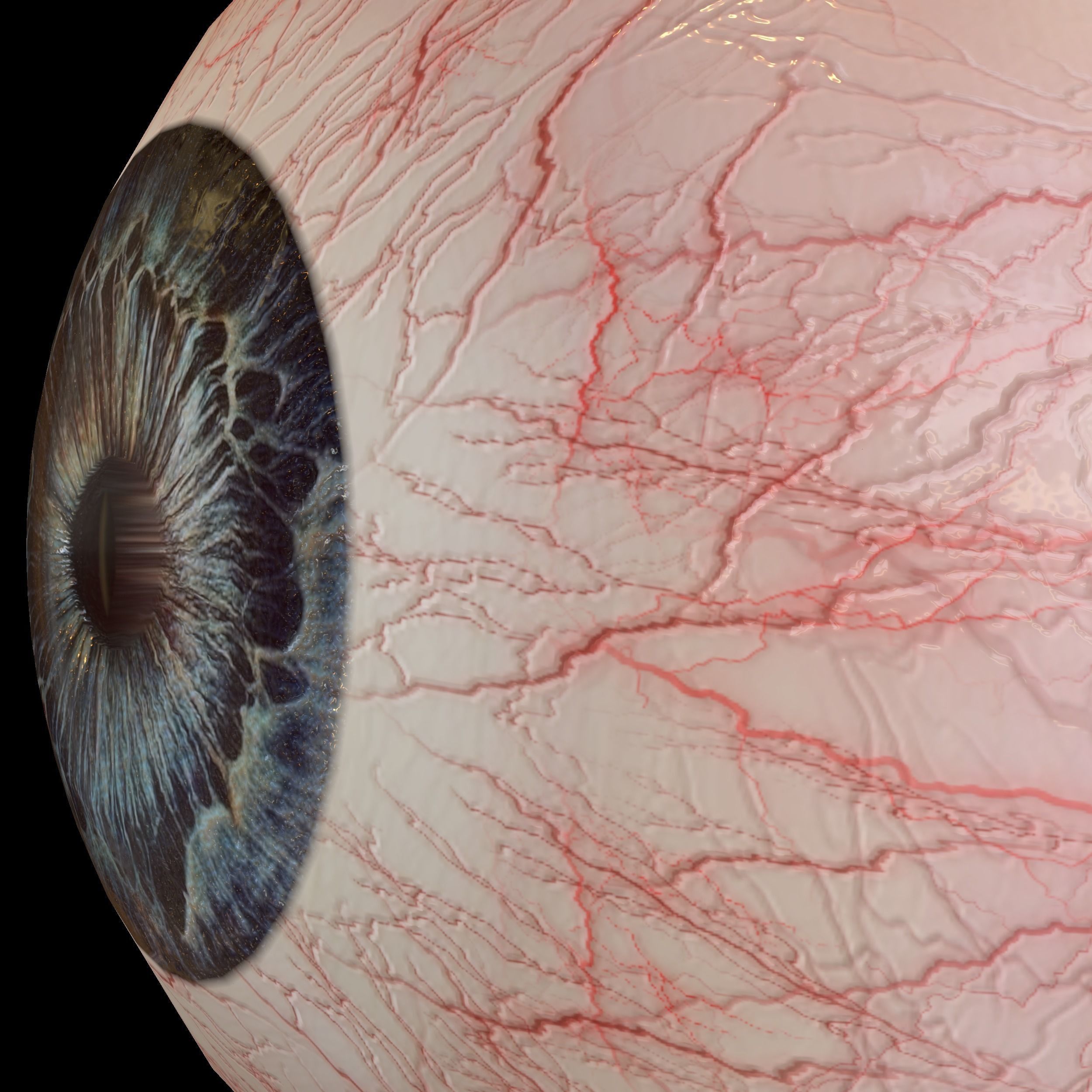 Human eye Photorealistic Low-poly 3D model Low-poly 3D model_14