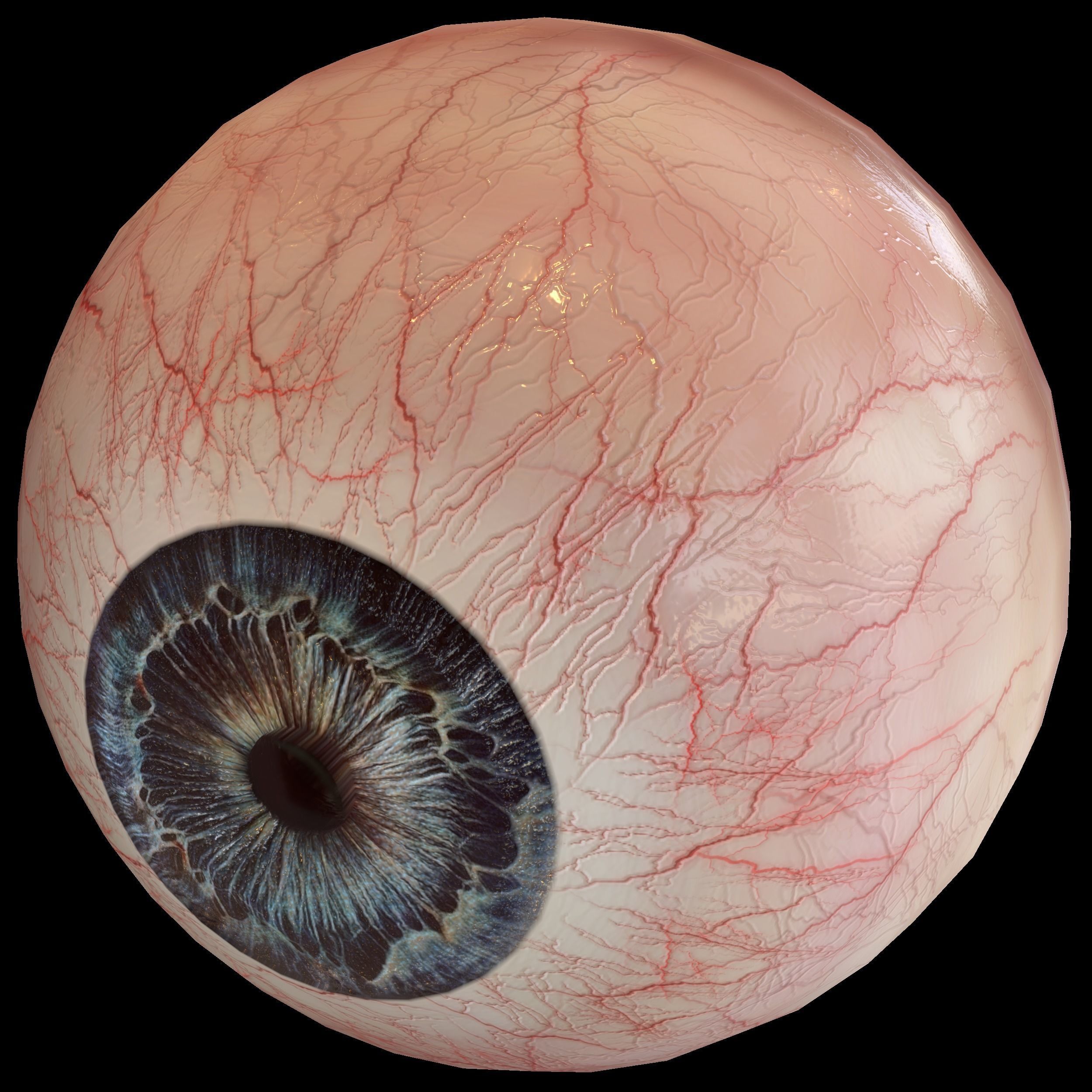Human eye Photorealistic Low-poly 3D model Low-poly 3D model_9