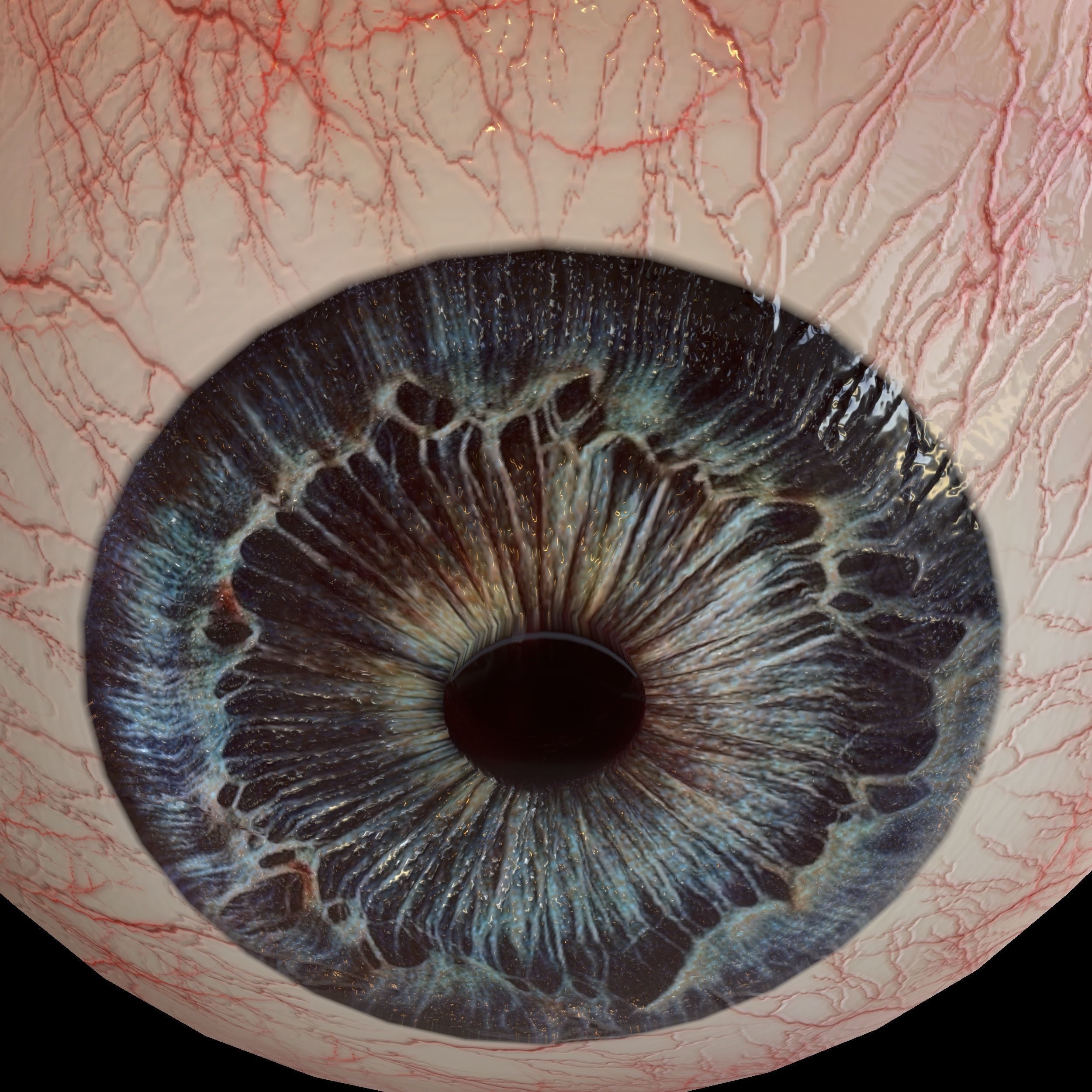Human eye Photorealistic Low-poly 3D model Low-poly 3D model_5