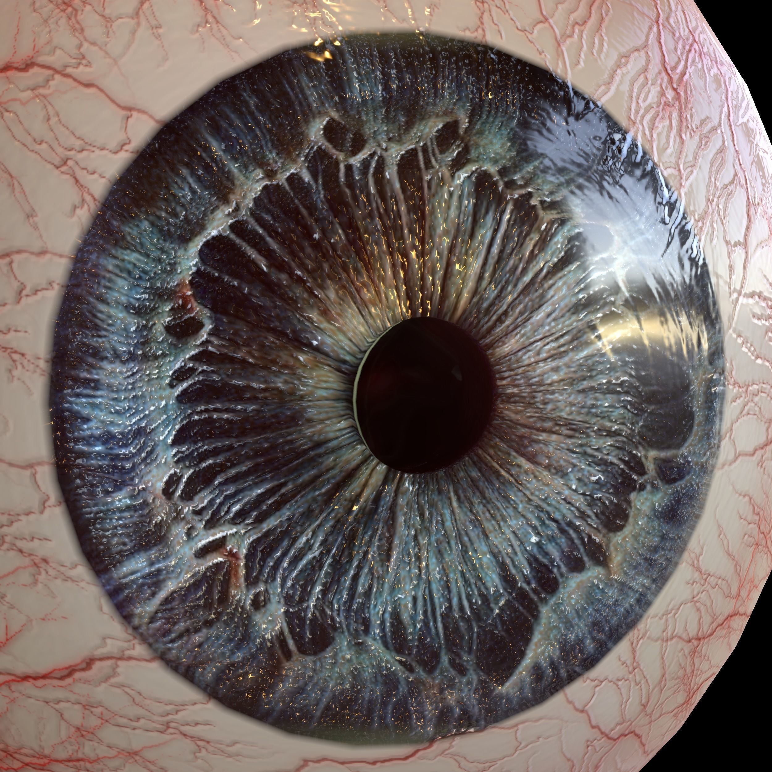 Human eye Photorealistic Low-poly 3D model Low-poly 3D model_2