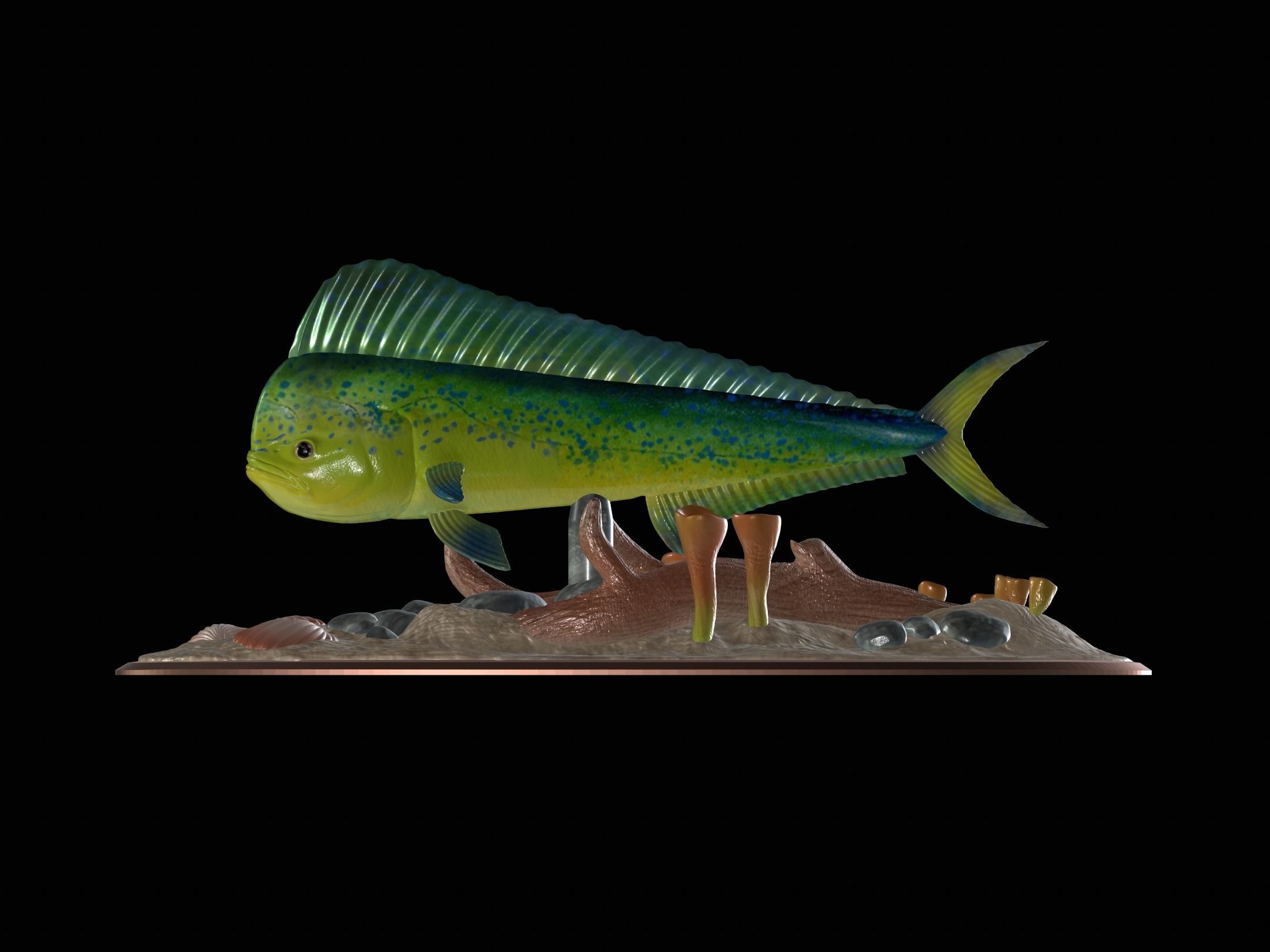 MAHI MAHI UNDERWATER STATUE DETAILED TEXTURE FOR 3D PRINTING 3D print model_5