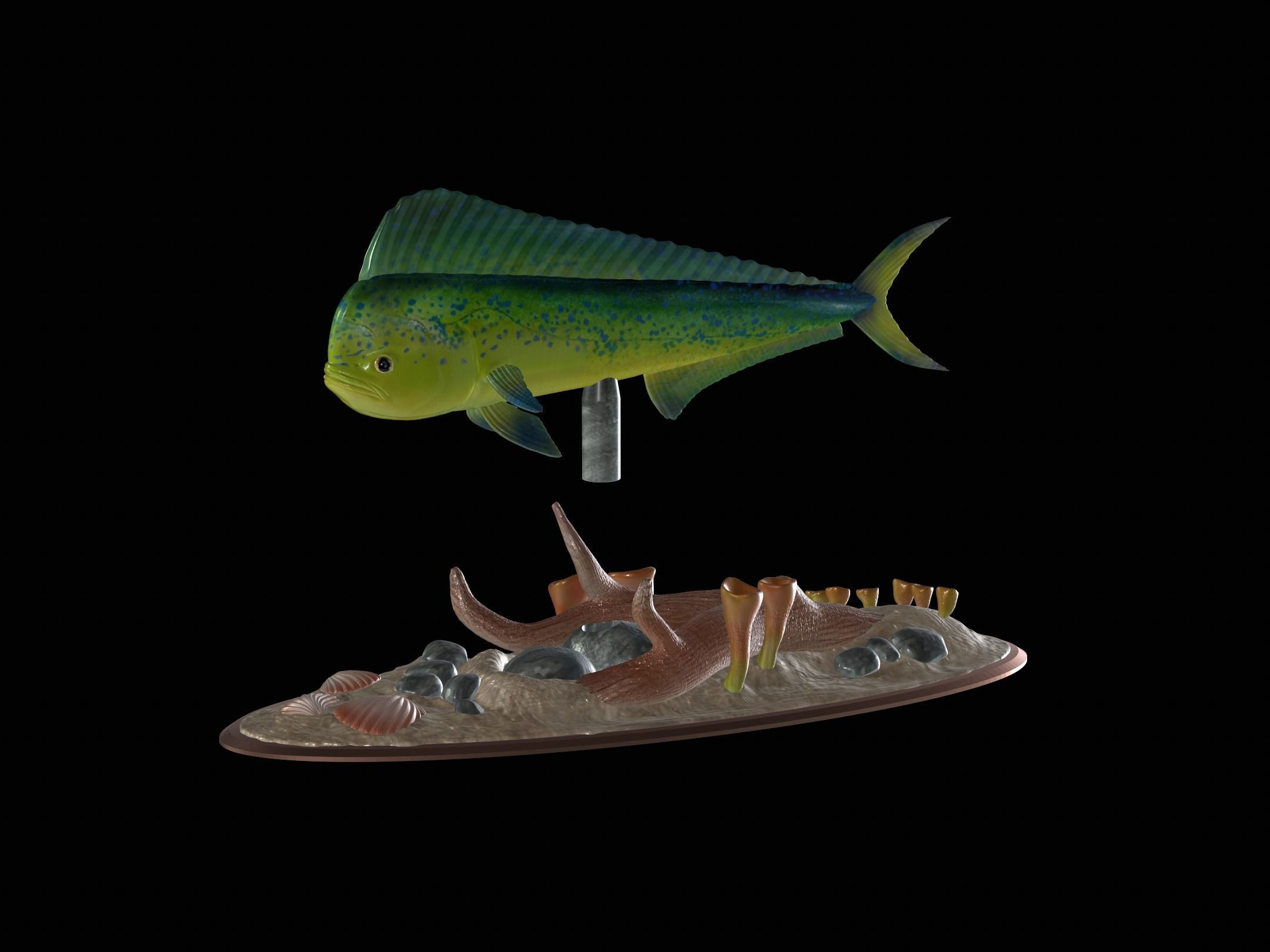 MAHI MAHI UNDERWATER STATUE DETAILED TEXTURE FOR 3D PRINTING 3D print model_7