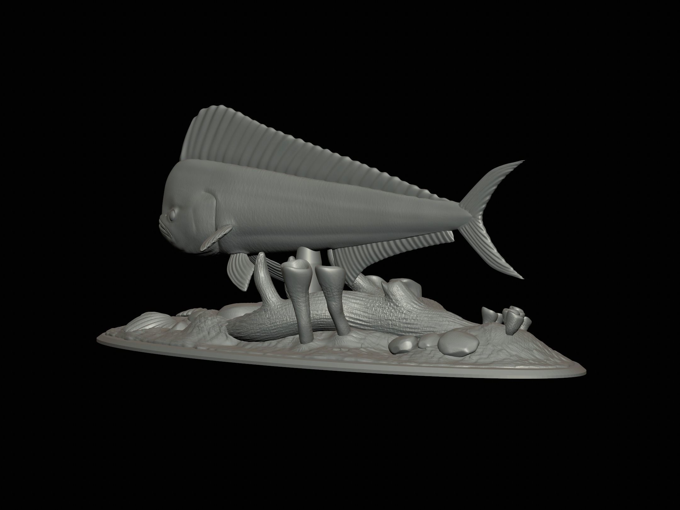 MAHI MAHI UNDERWATER STATUE DETAILED TEXTURE FOR 3D PRINTING 3D print model_25