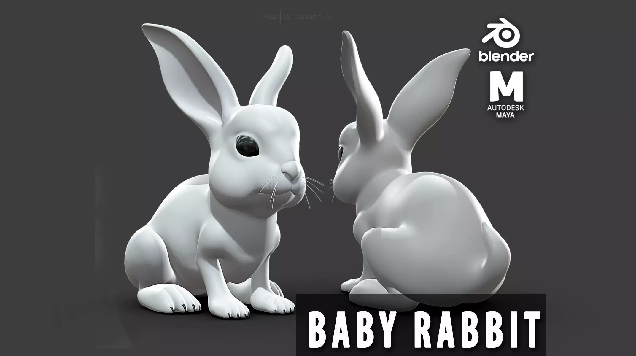 Baby Rabbit Low-poly 3D model_0