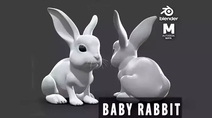 Baby Rabbit Low-poly 3D model