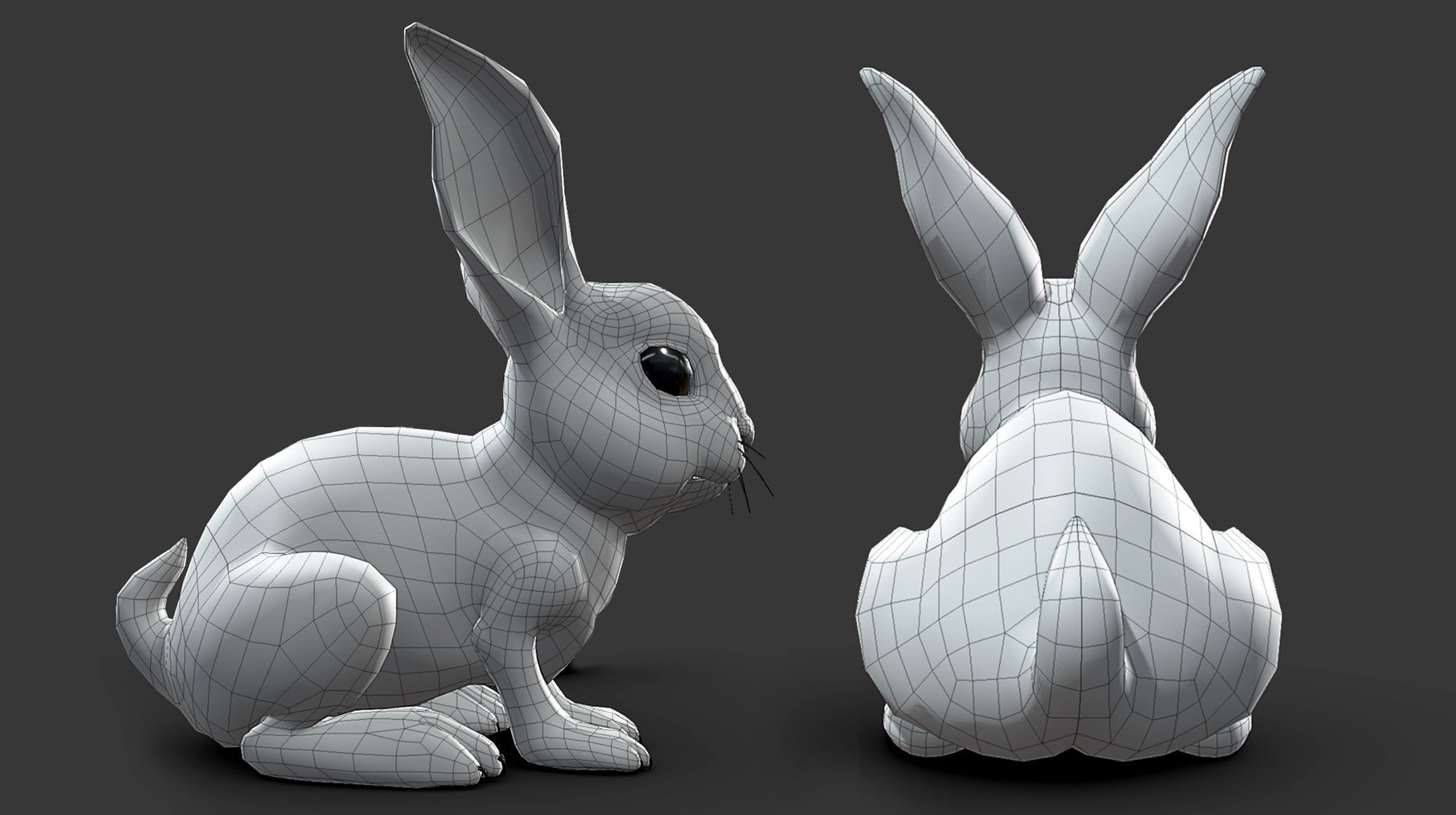 Baby Rabbit Low-poly 3D model_3