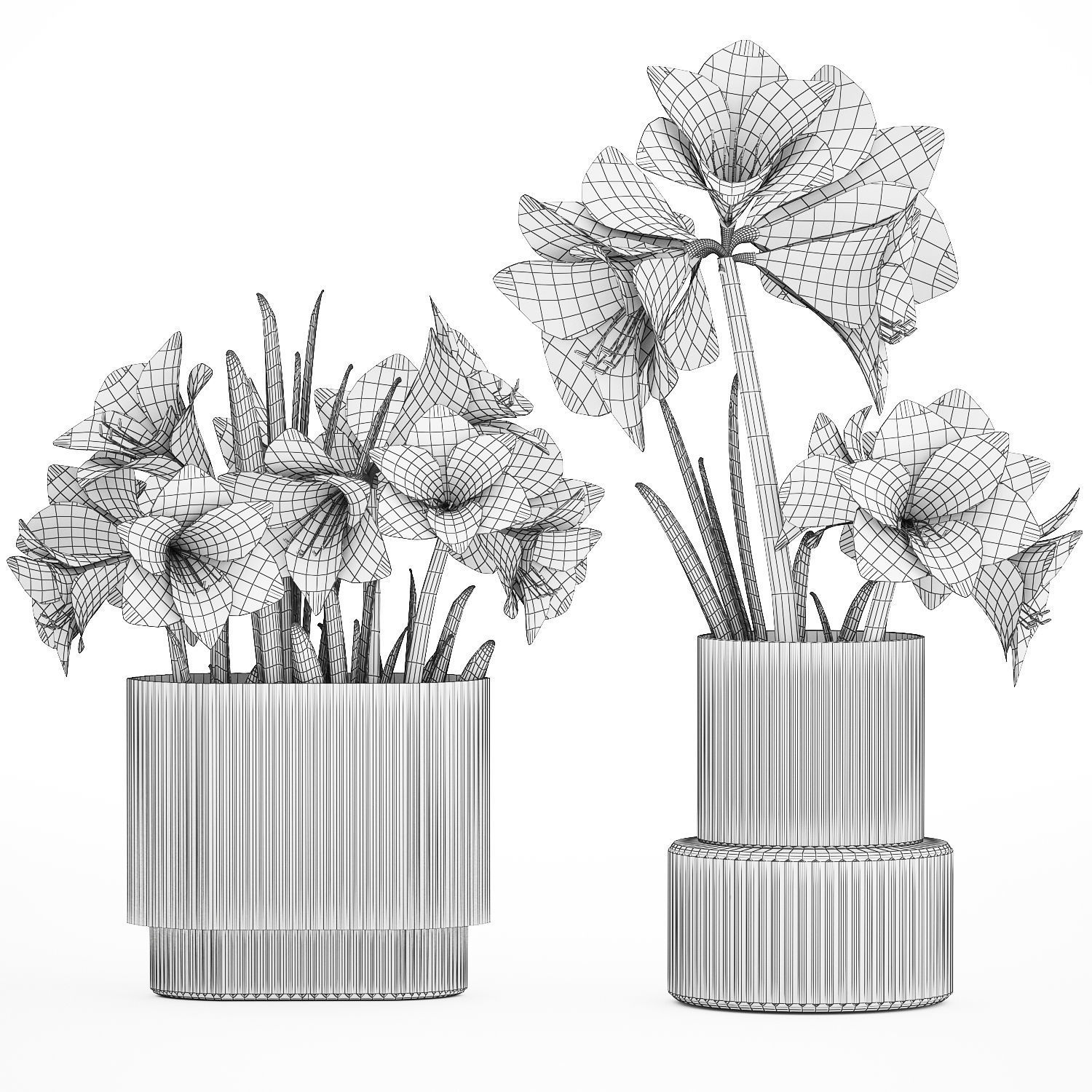 Set Of Bouquets Of White Flowers Hippeastrum Vase 372 3D model_11