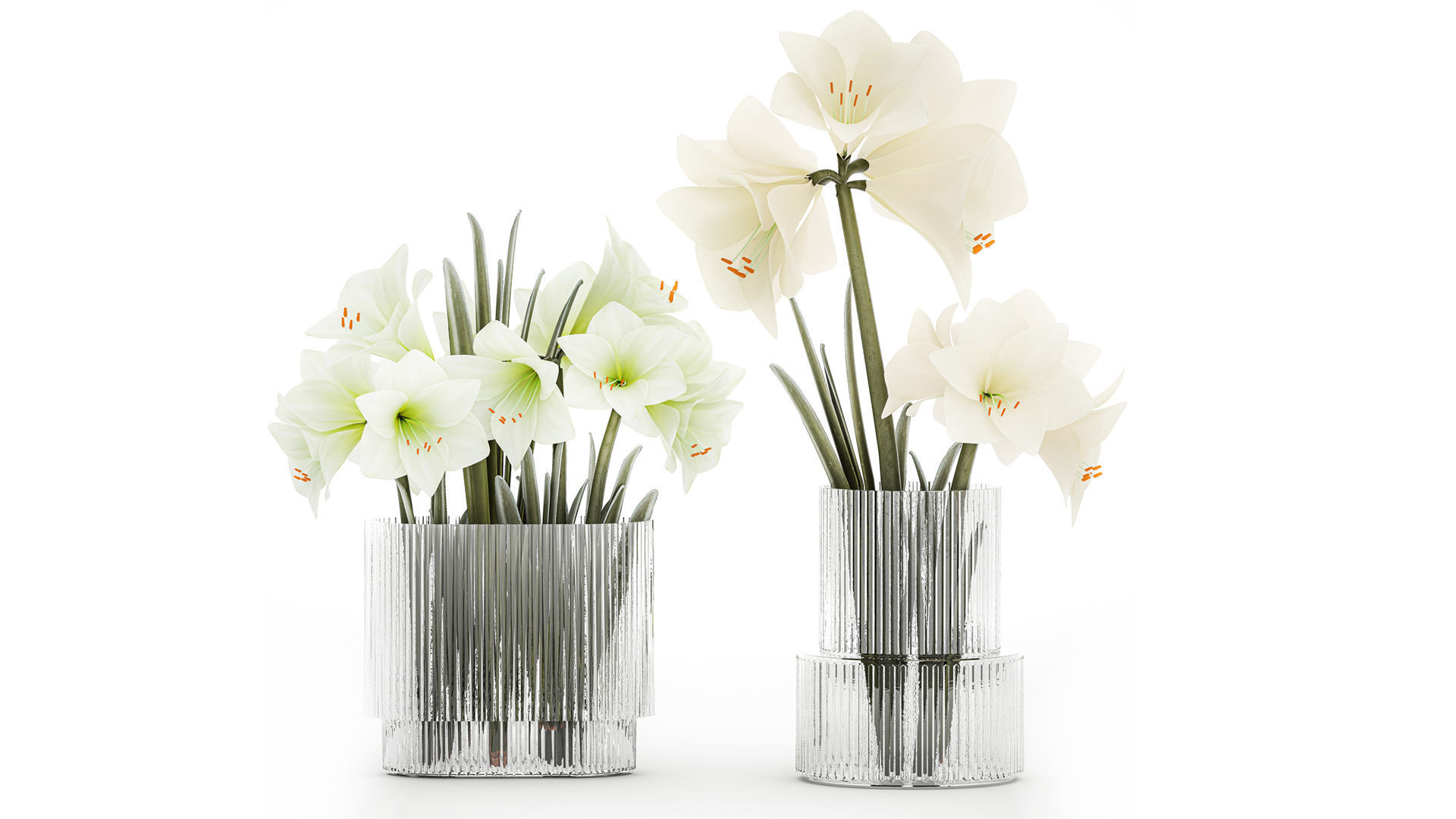 Set Of Bouquets Of White Flowers Hippeastrum Vase 372 3D model_1