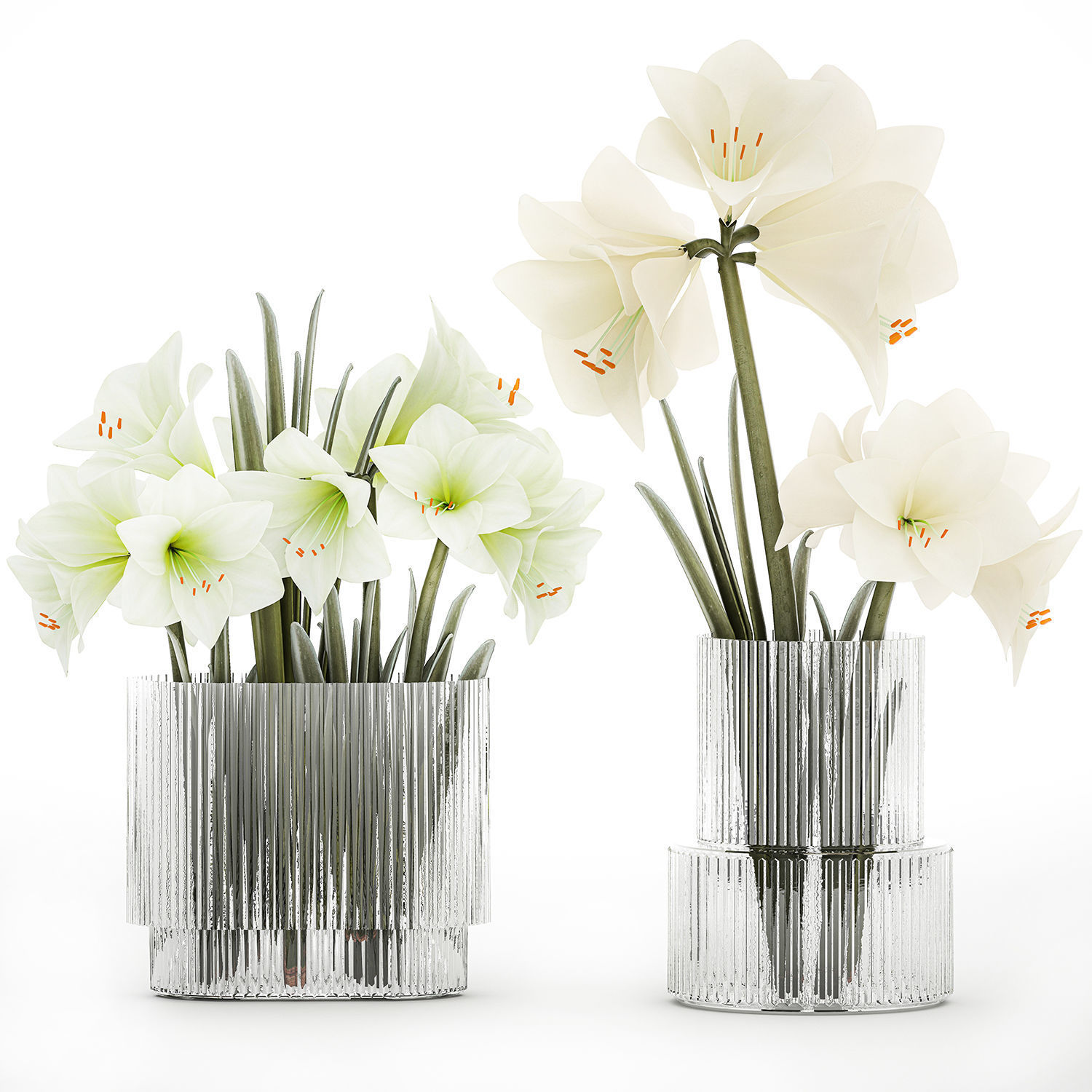 Set Of Bouquets Of White Flowers Hippeastrum Vase 372 3D model_6
