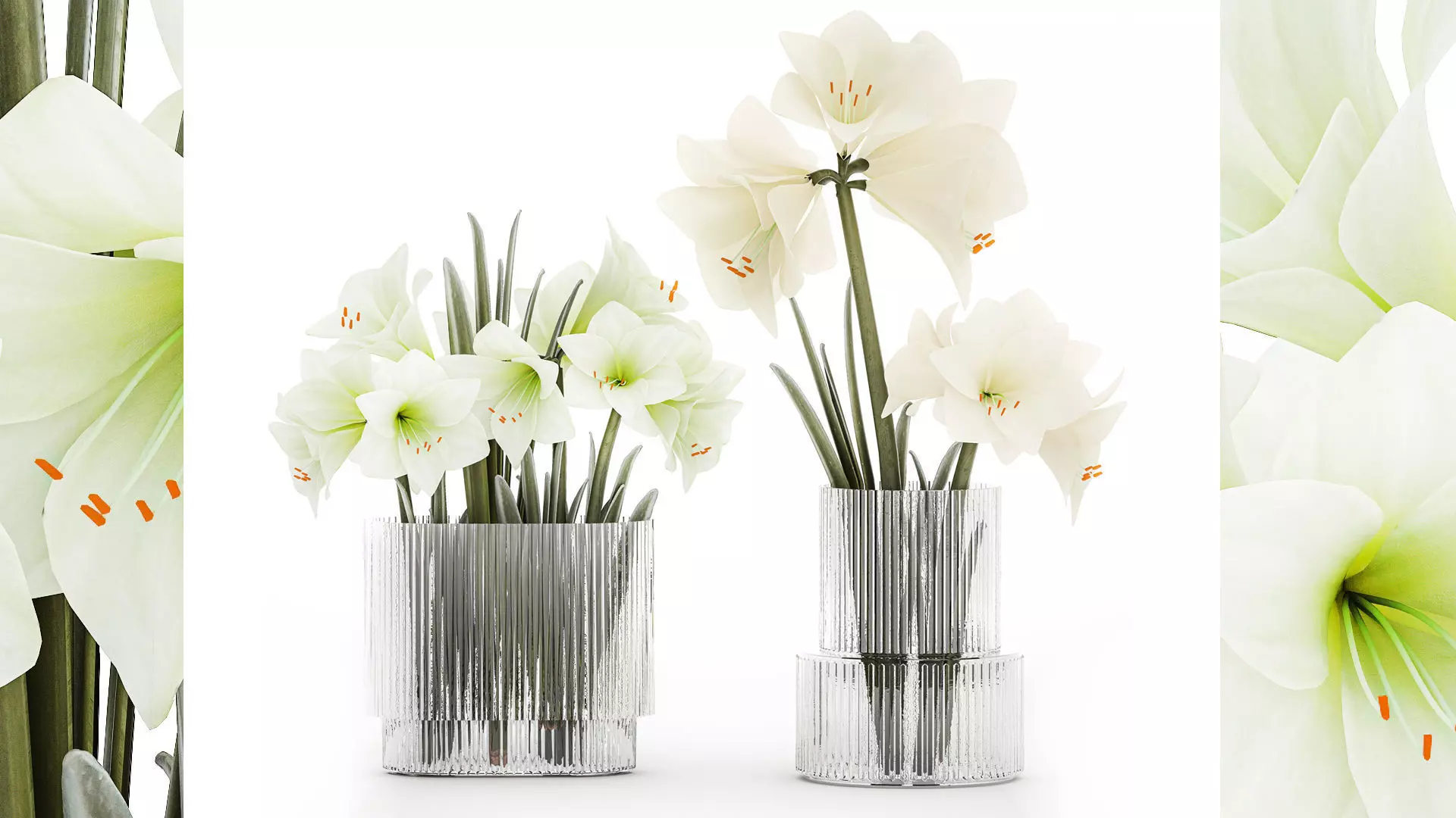 Set Of Bouquets Of White Flowers Hippeastrum Vase 372 3D model_0