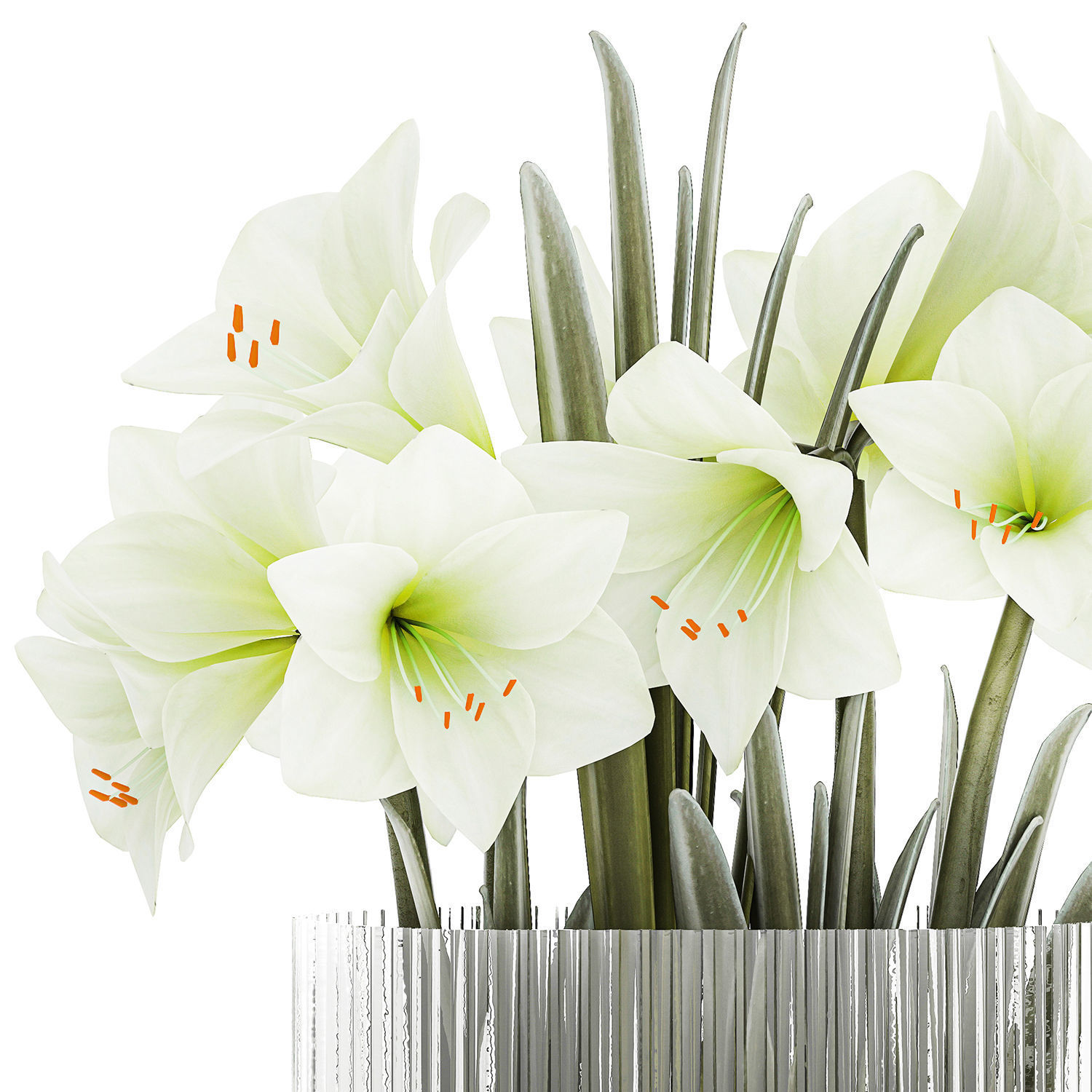 Set Of Bouquets Of White Flowers Hippeastrum Vase 372 3D model_10