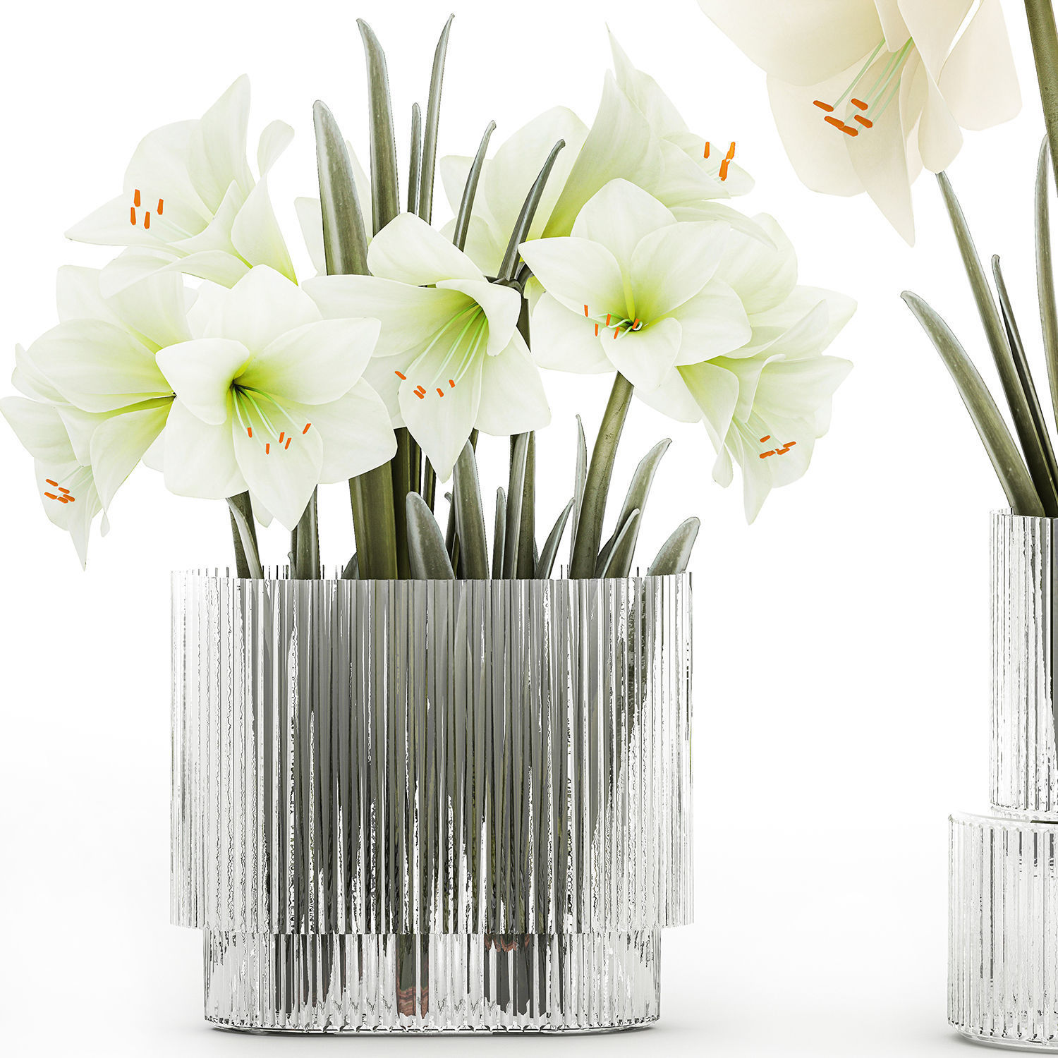 Set Of Bouquets Of White Flowers Hippeastrum Vase 372 3D model_9