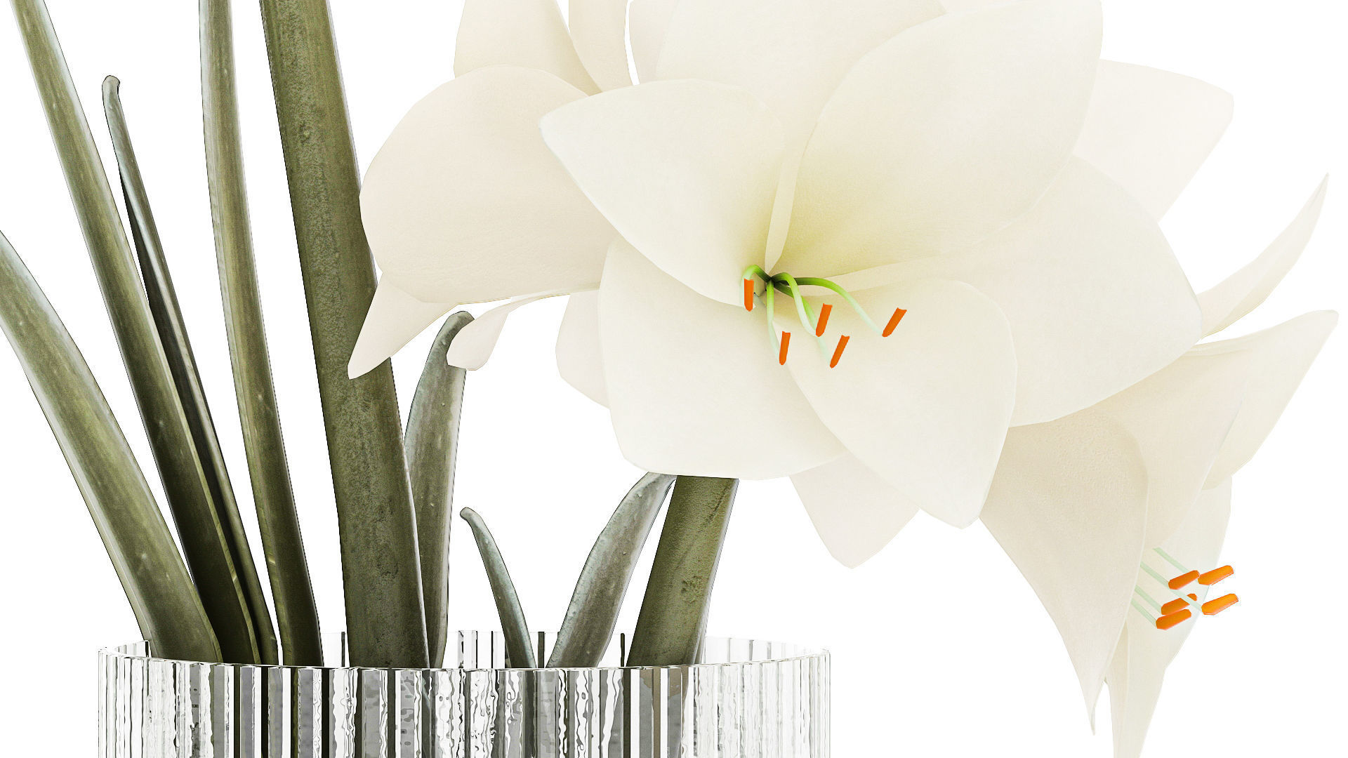 Set Of Bouquets Of White Flowers Hippeastrum Vase 372 3D model_4