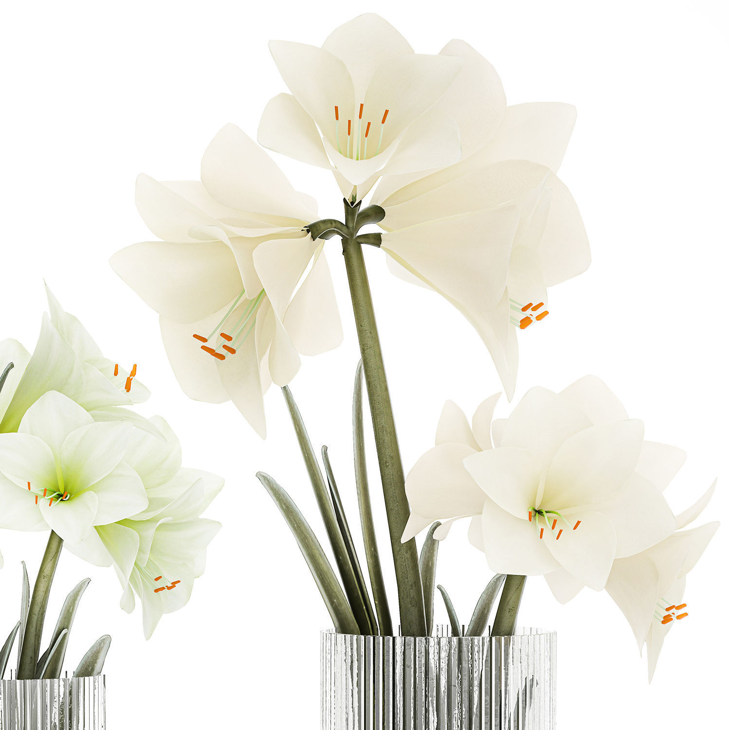 Set Of Bouquets Of White Flowers Hippeastrum Vase 372 3D model_8
