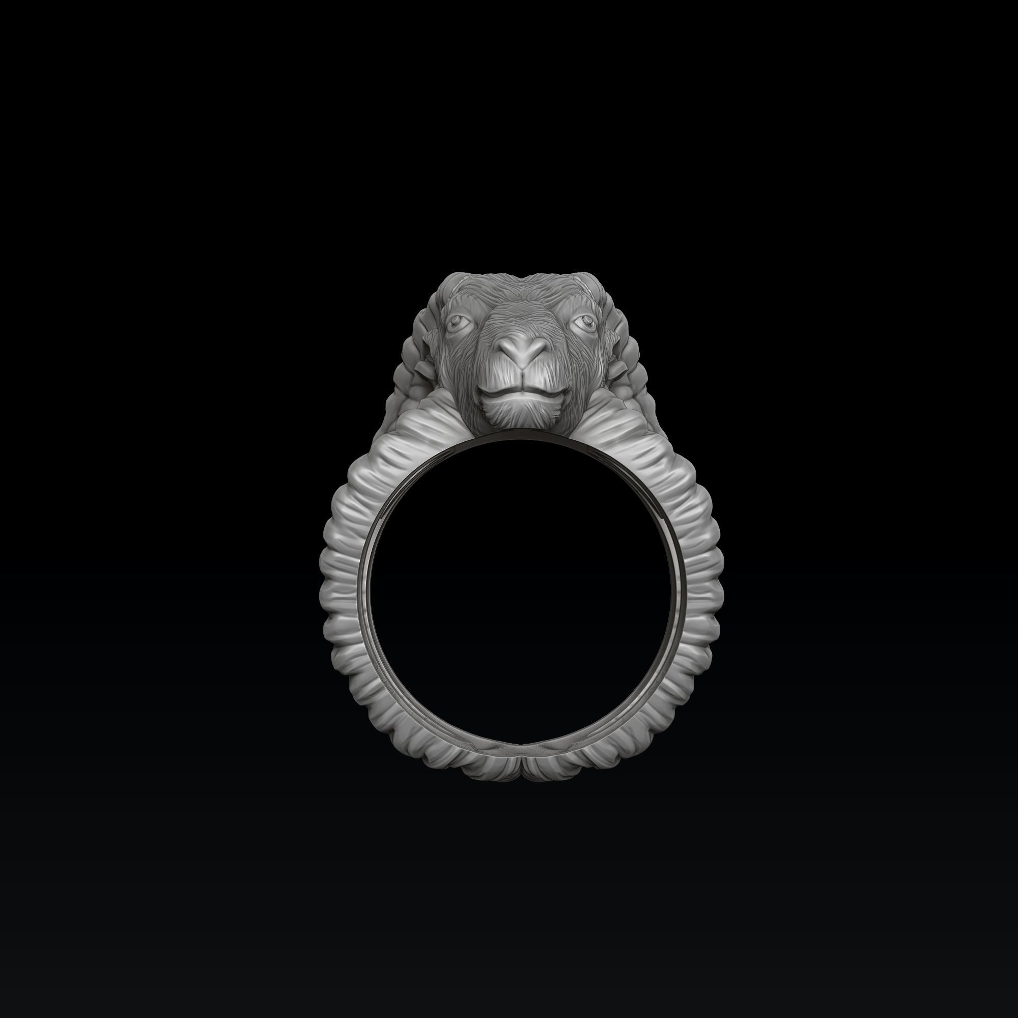 Aries Ring 3D print model_6