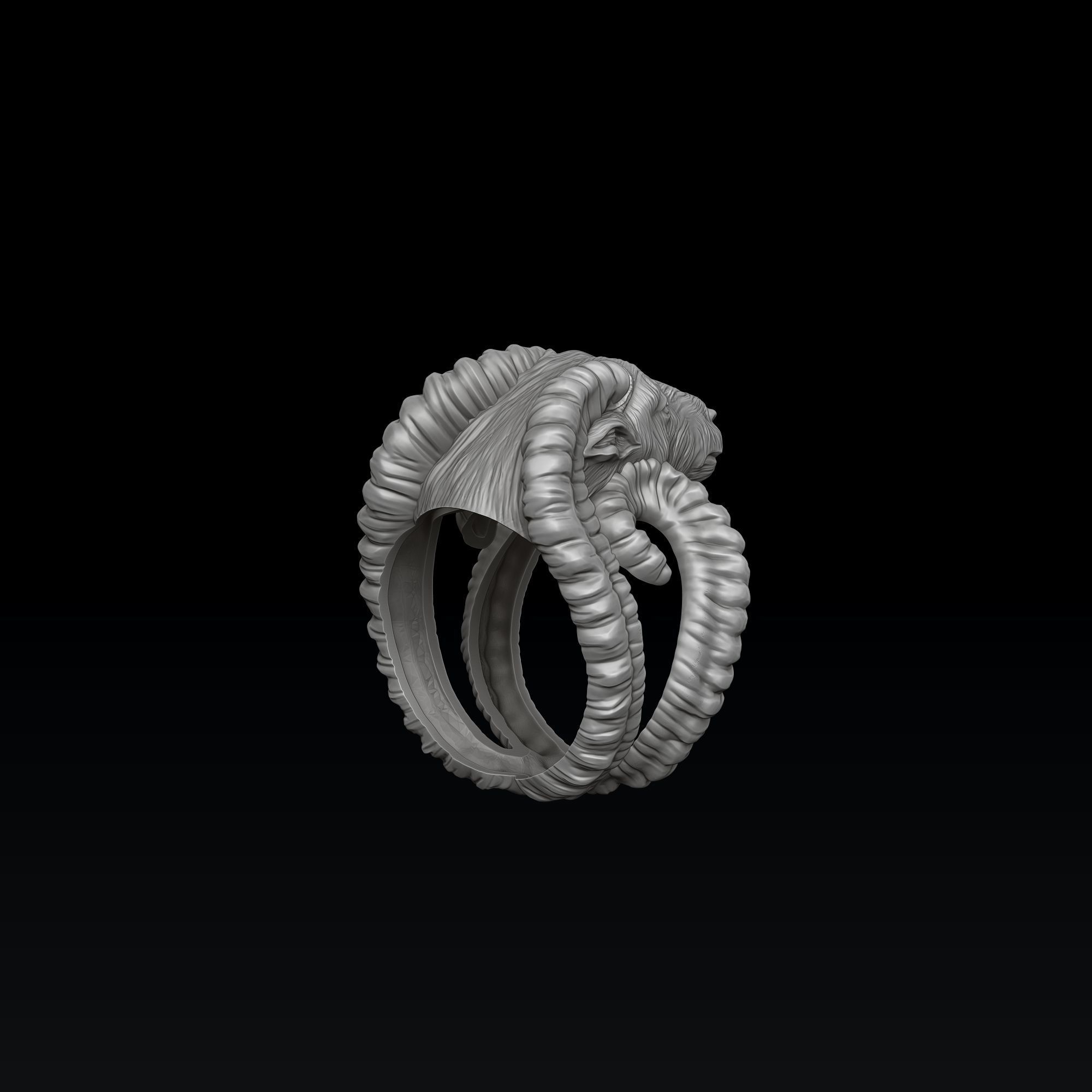 Aries Ring 3D print model_4