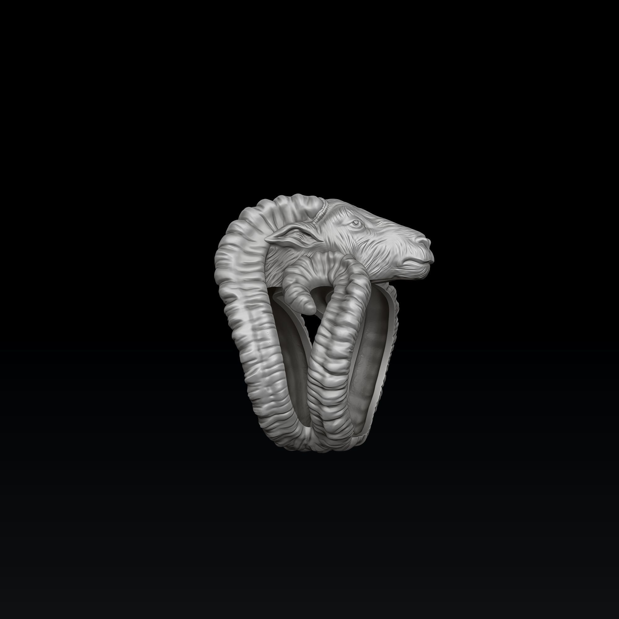 Aries Ring 3D print model_3