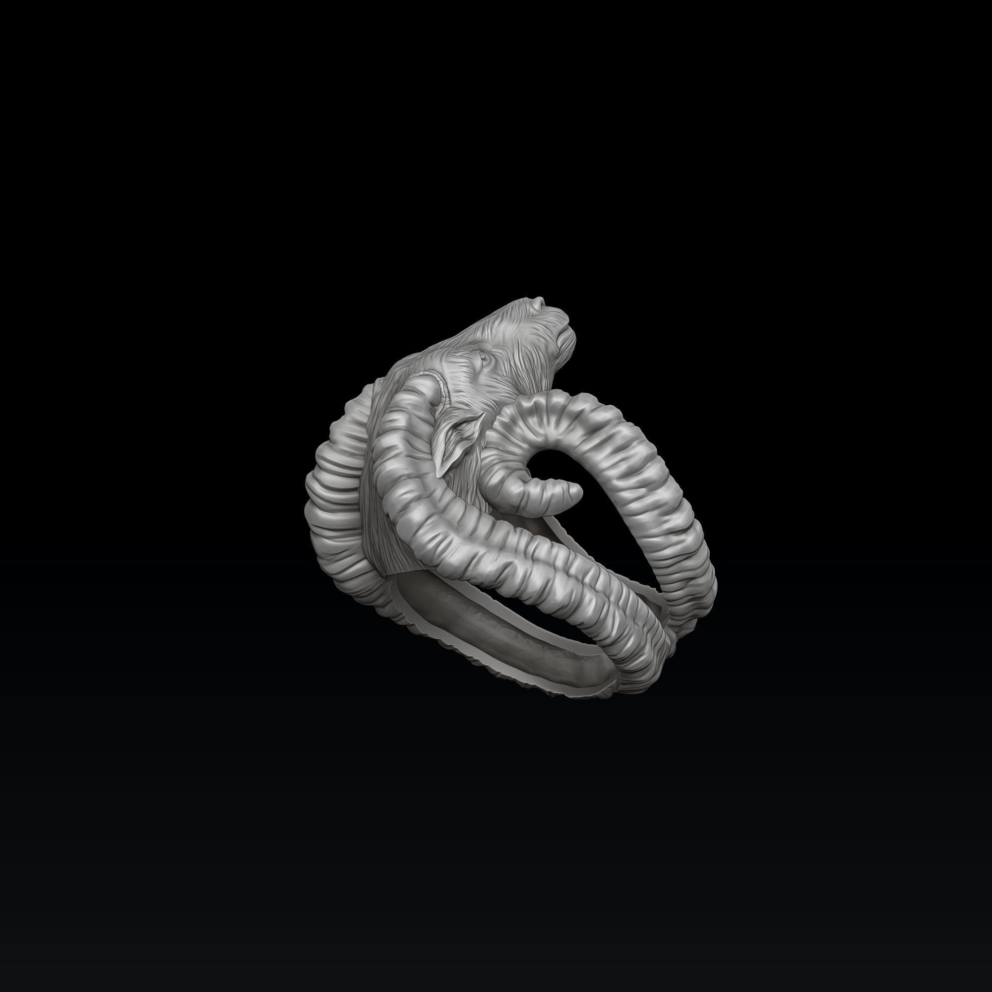 Aries Ring 3D print model_1