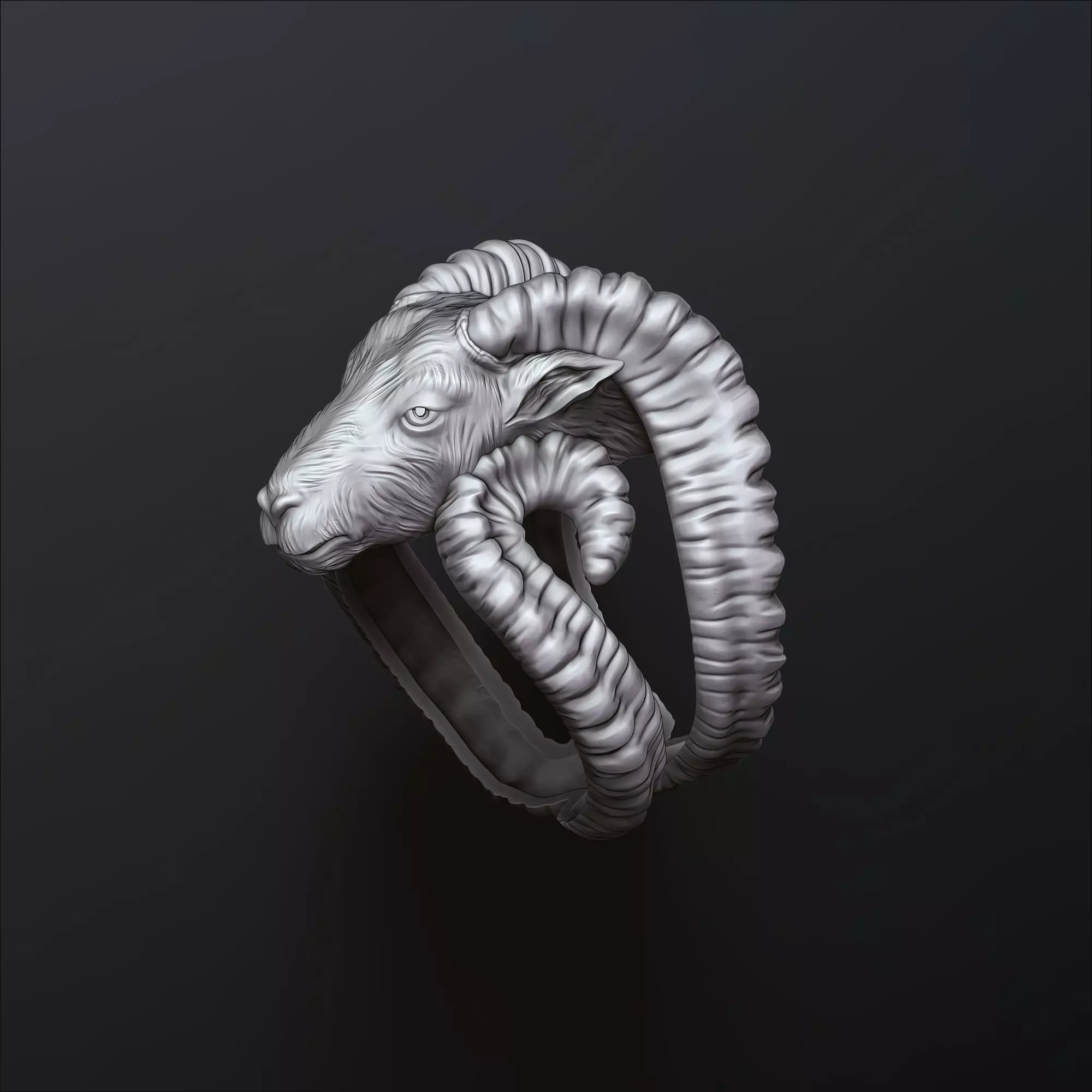 Aries Ring 3D print model_0