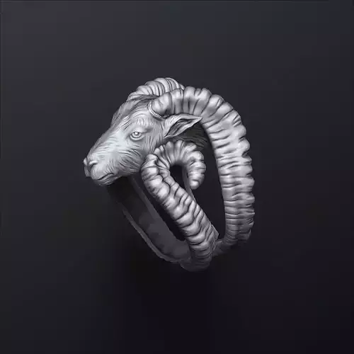 Aries Ring