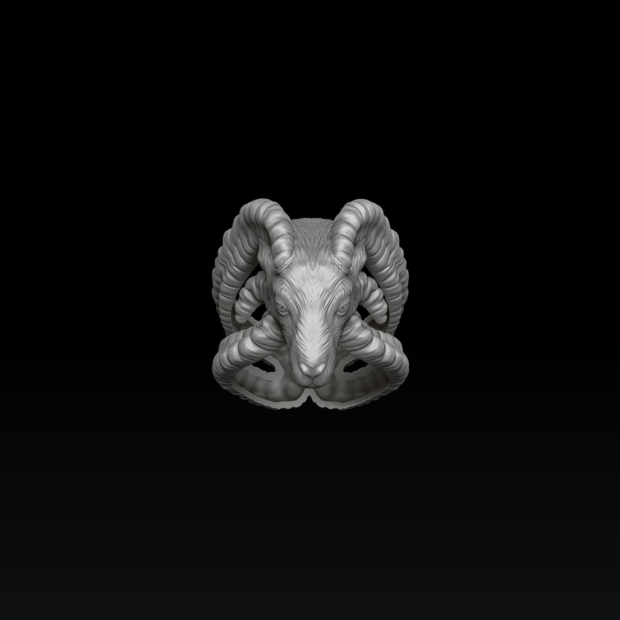 Aries Ring 3D print model_5