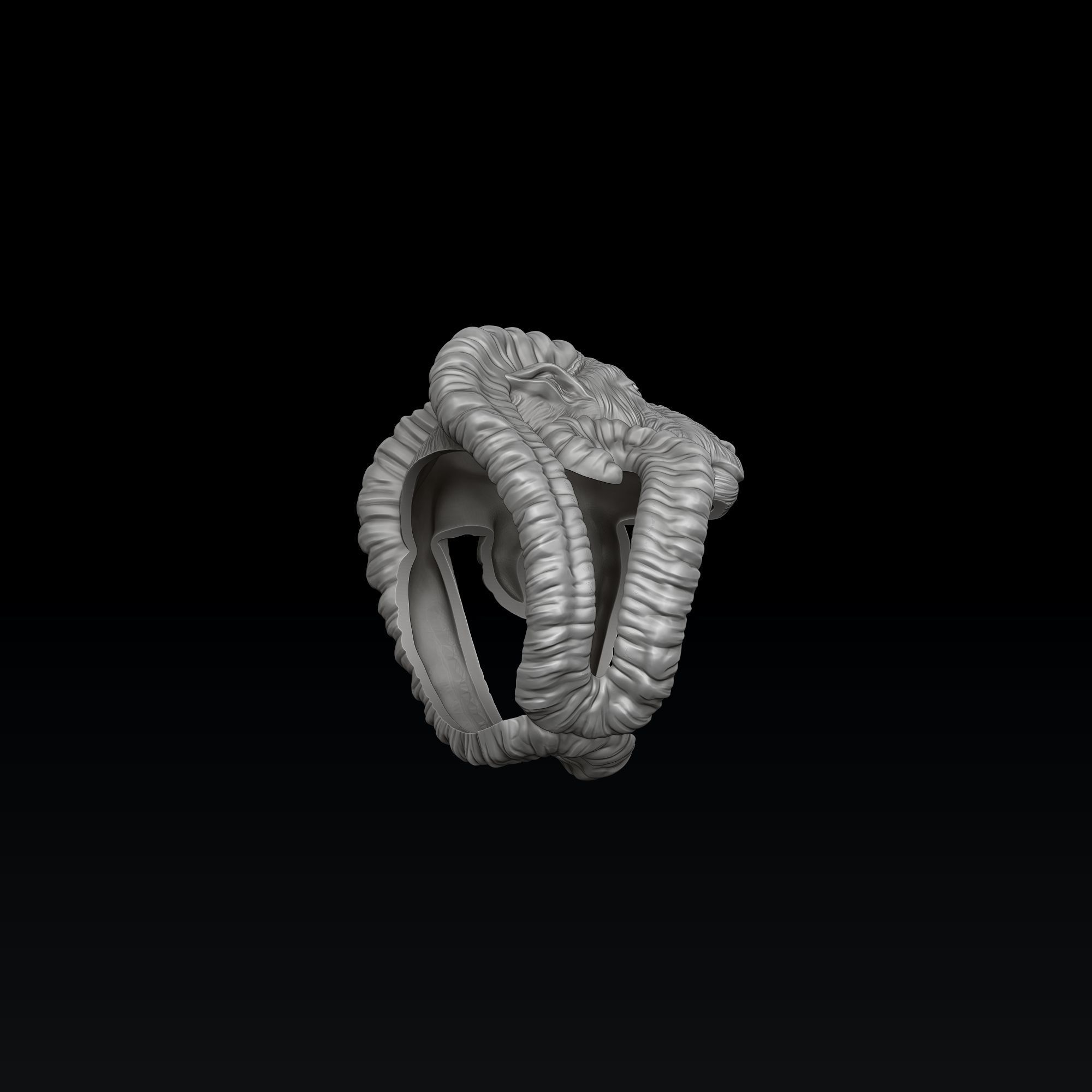 Aries Ring 3D print model_7
