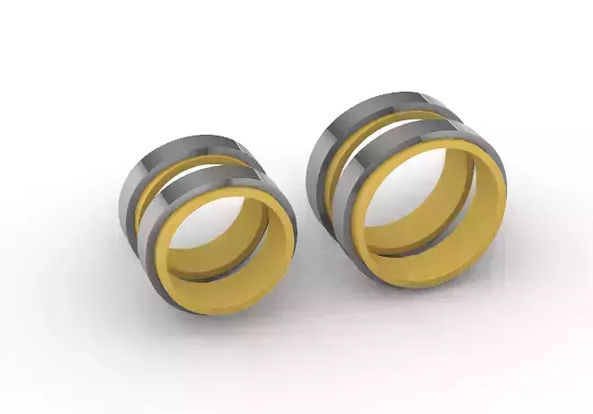 Gold Pair Hoop  3D print model