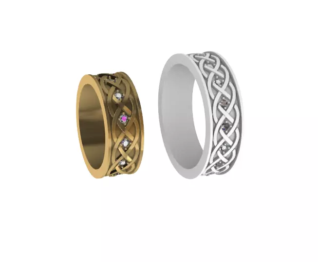 Couple braid rings 3D print model