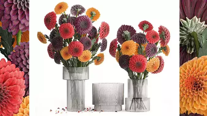 Set of bouquets of flowers chrysanthemum Dahlias vase 373