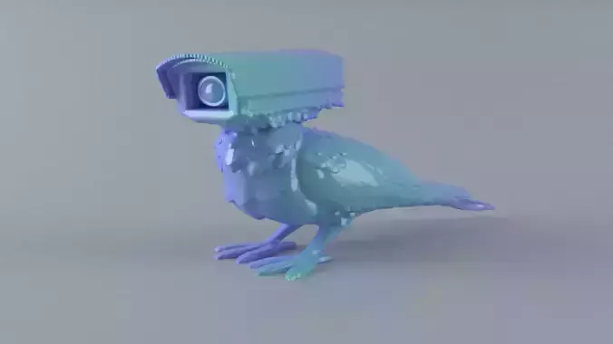 Pidgeon Camera