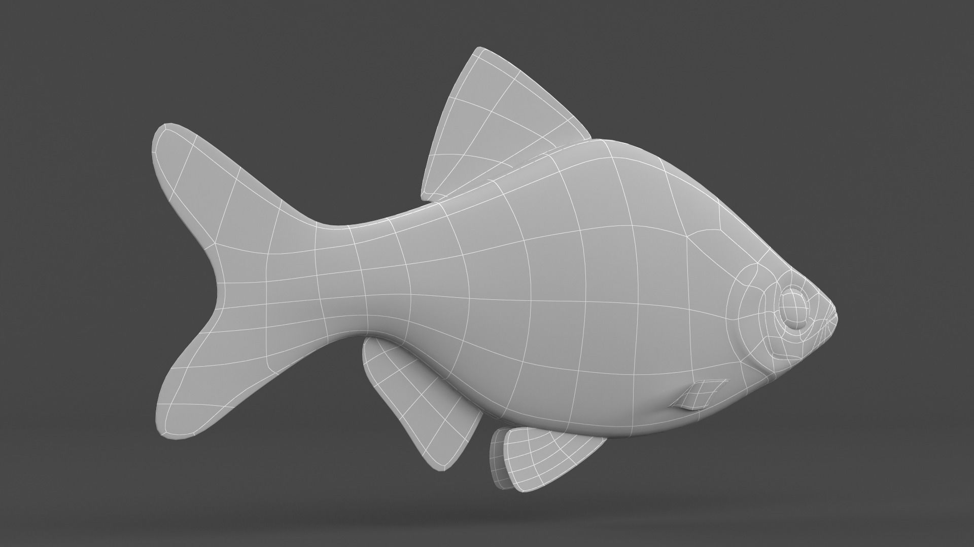 Tiger Barb Fish 3D model_8