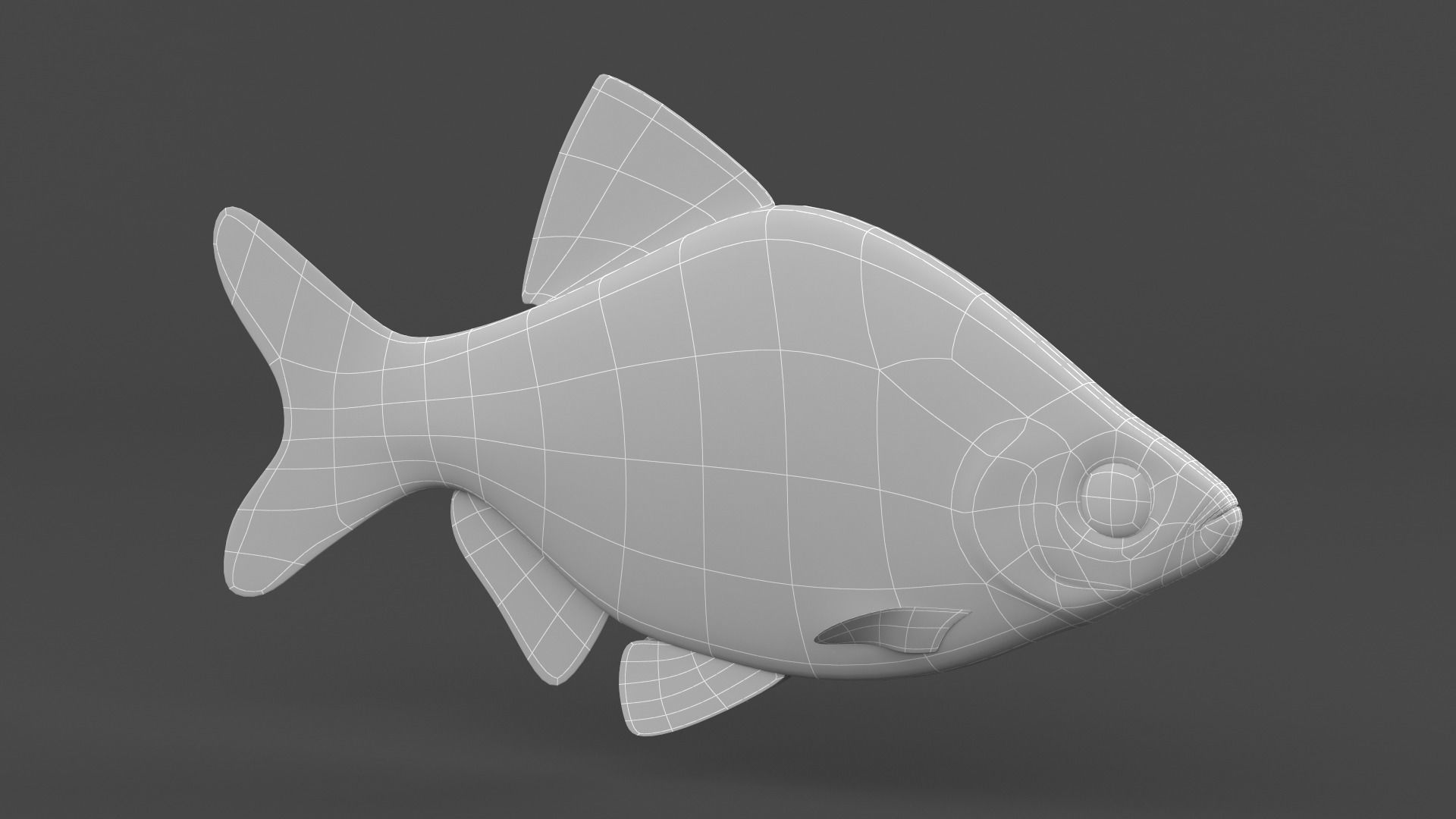 Tiger Barb Fish 3D model_7