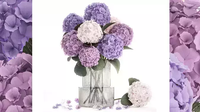 Beautiful bouquets of hydrangea flowers in a glass vase 374 3D model