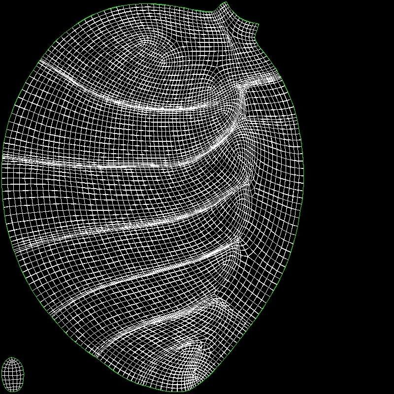 Bee 3D model 3D model_16