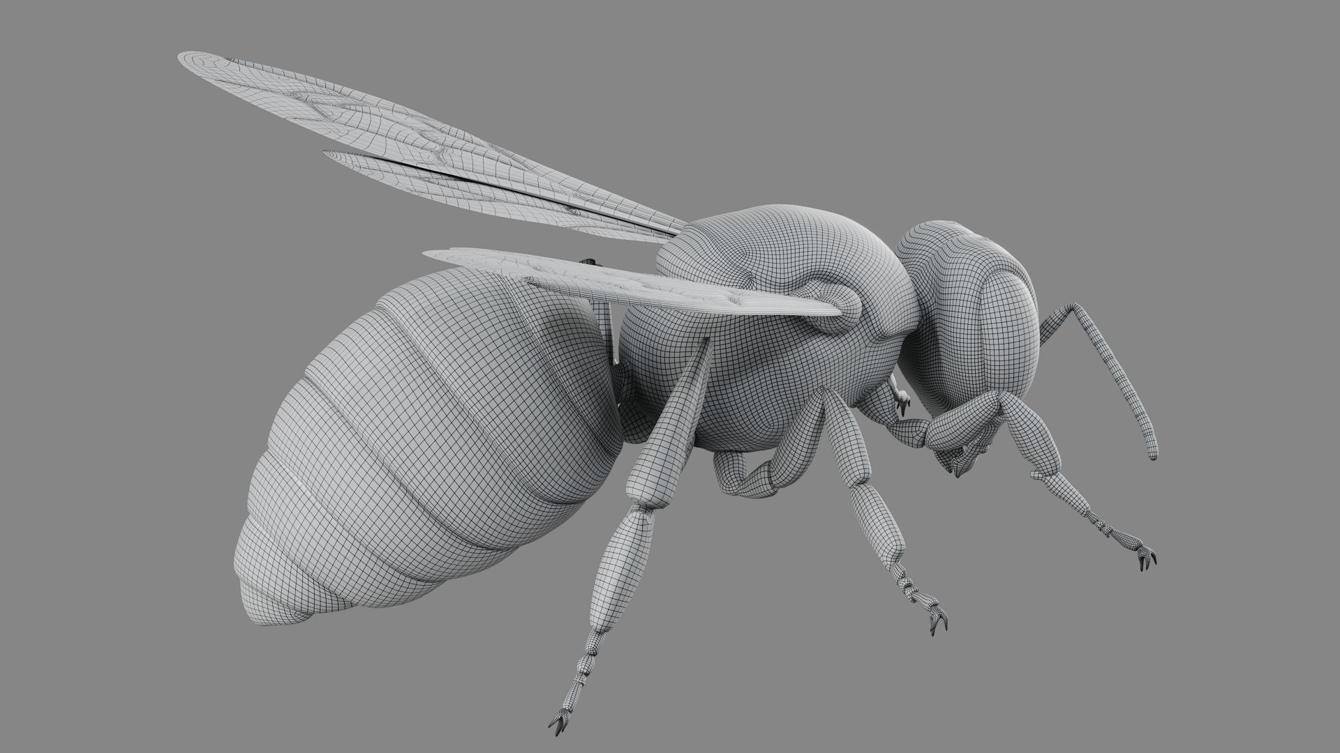 Bee 3D model 3D model_9