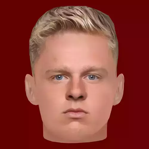 Oleksandr Zinchenko Head - Low poly head for game Low-poly