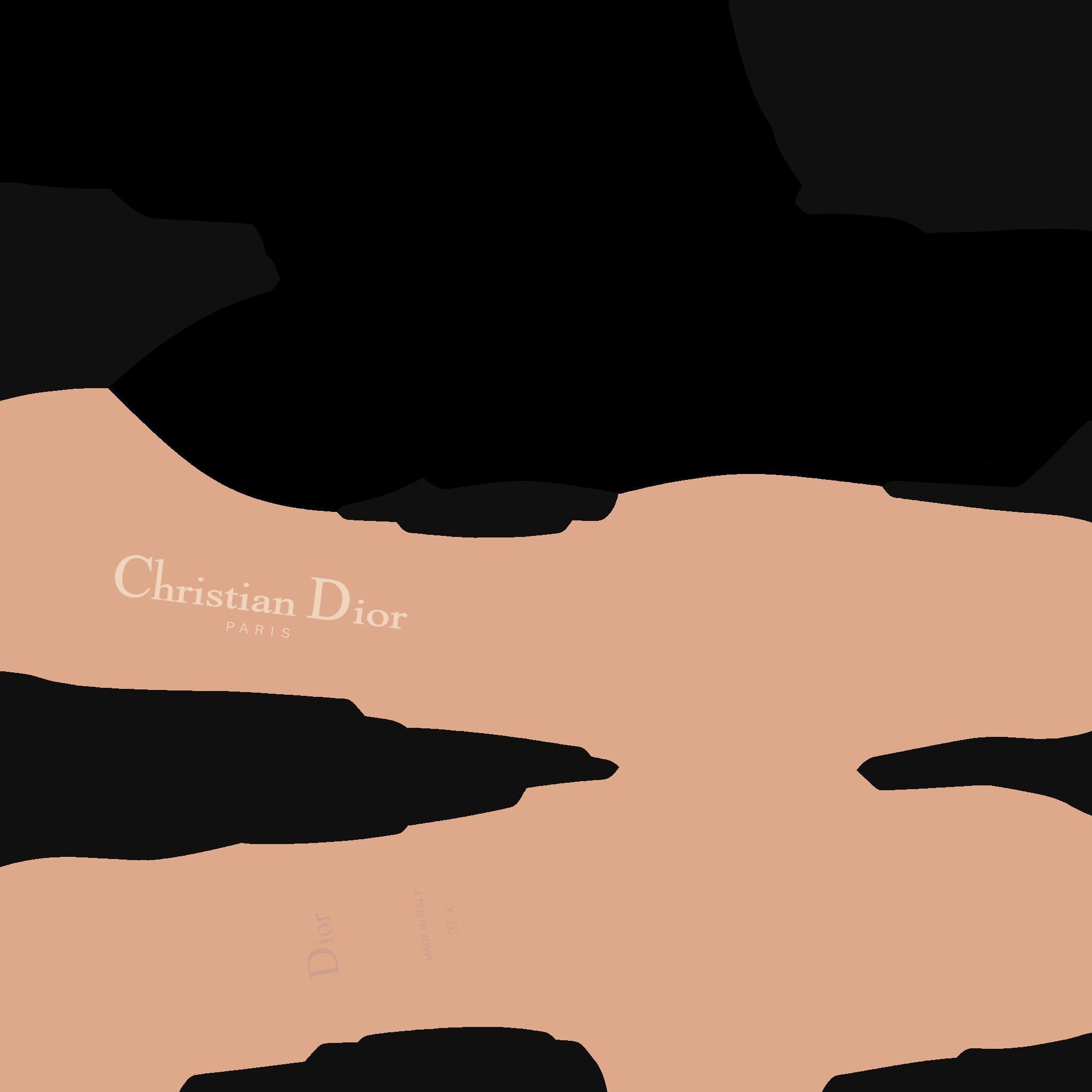 CHRISTIAN DIOR 3D SHOES - WOMAN Low-poly 3D model_32