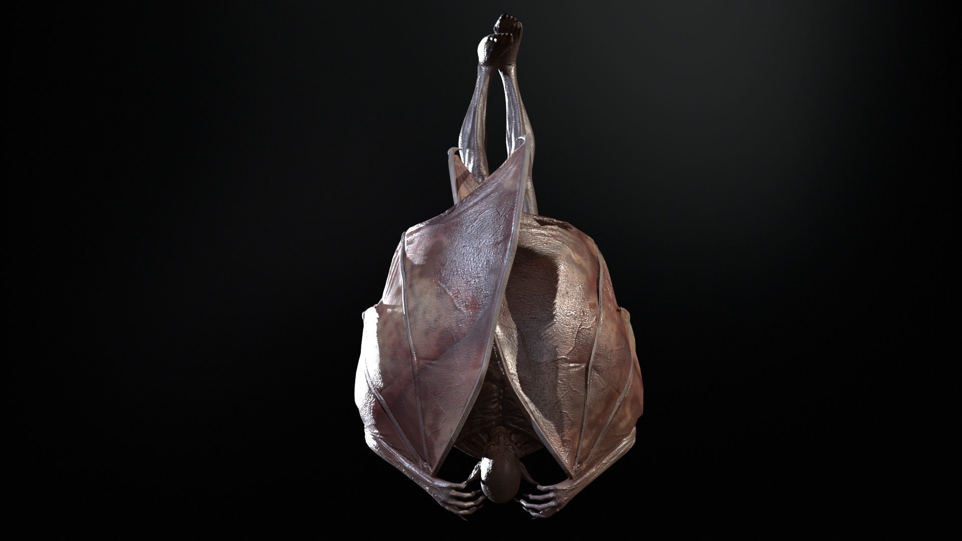 Vampire Low-poly 3D model_20