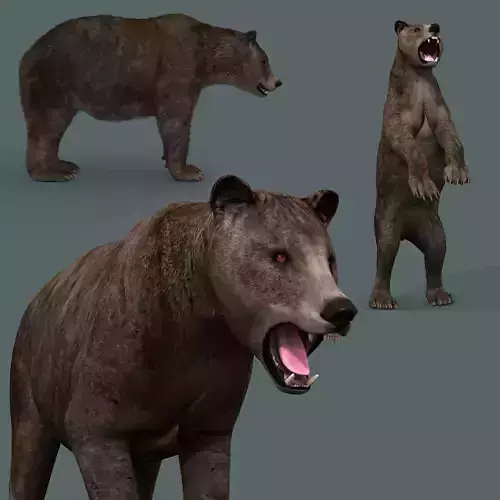 Cave Bear - 3D animated