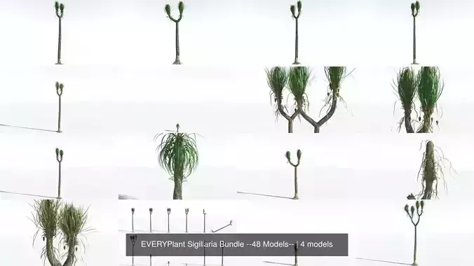 EVERYPlant Sigillaria Bundle --48 Models-- 3D Model Collection