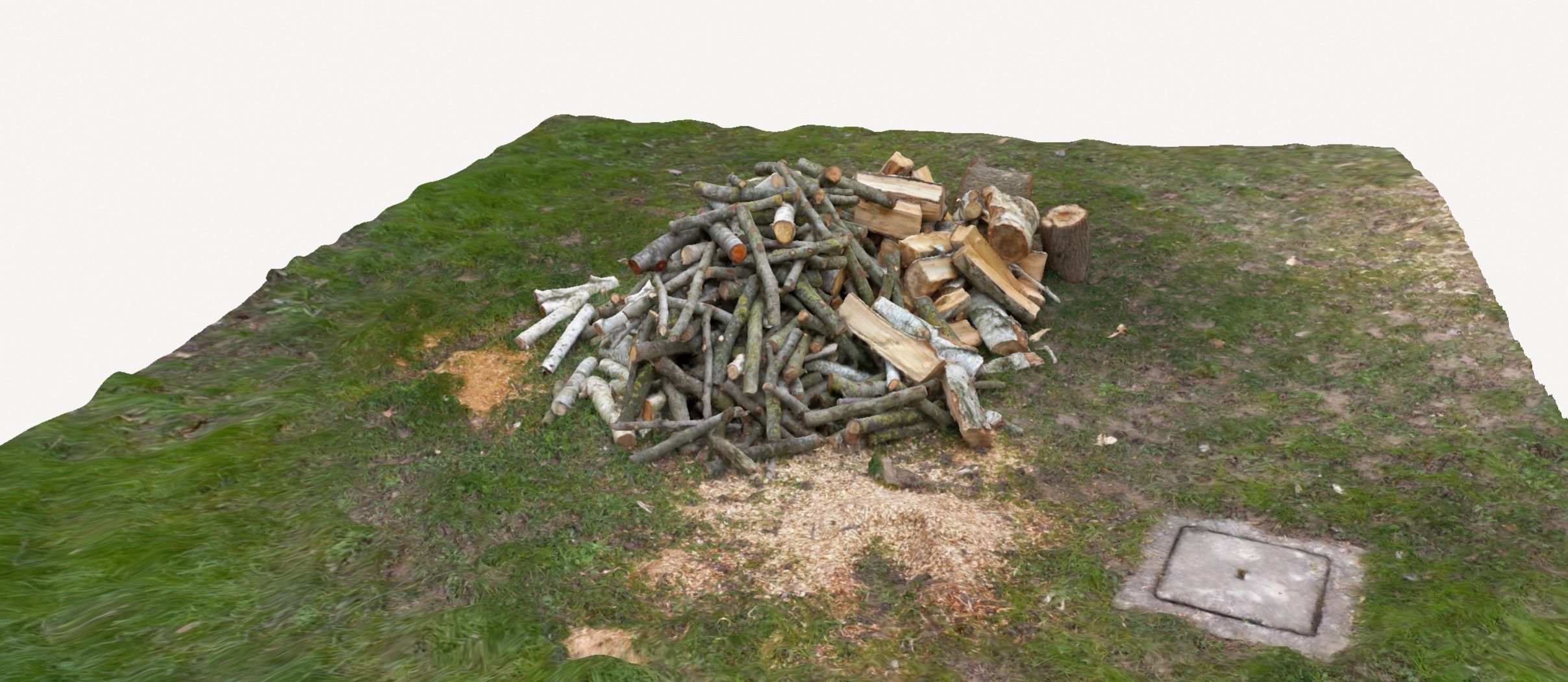 Pile of wood fire chips 3D model_20